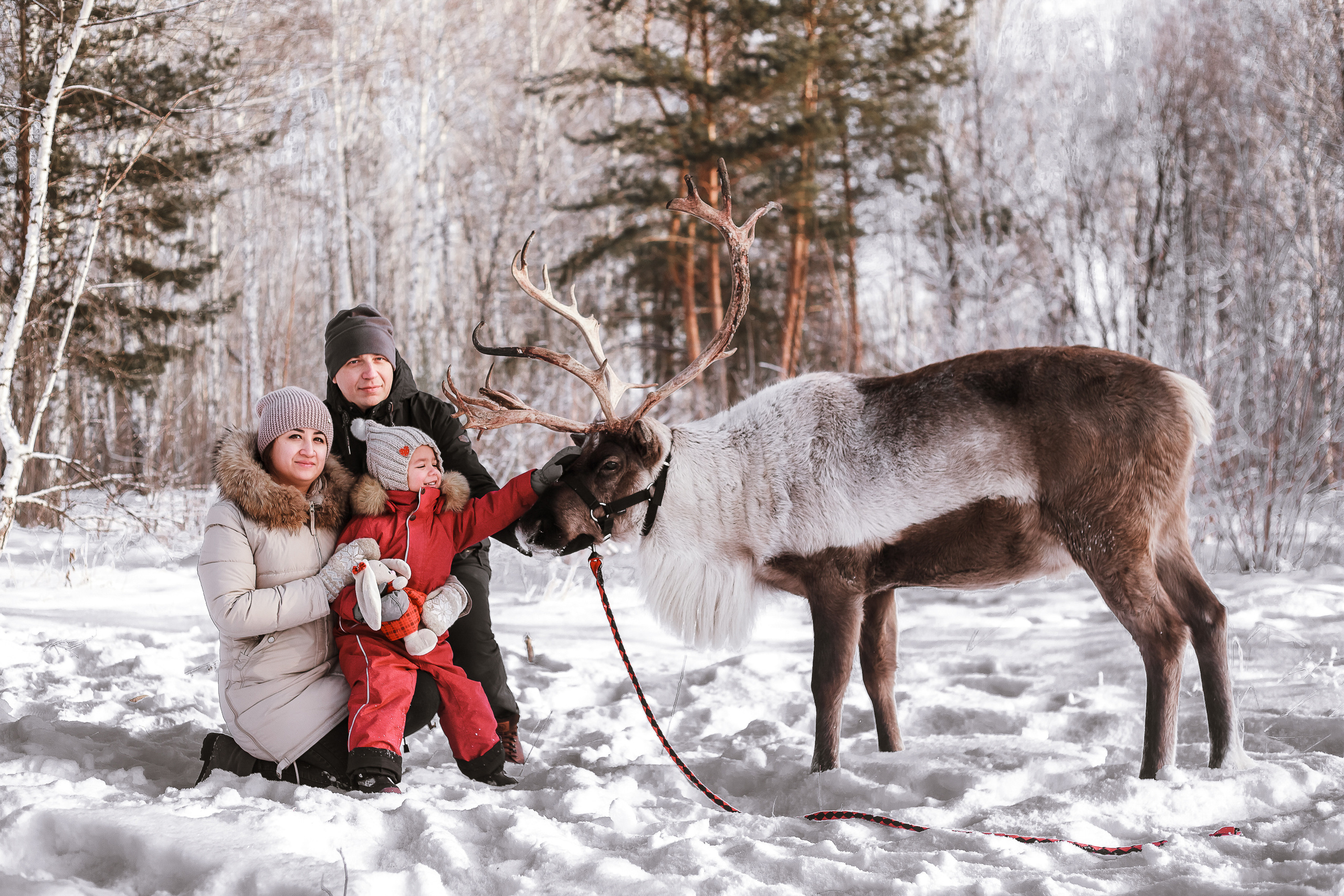Фотосессии с Оленем. Фотограф в Томске Юлия Постнова