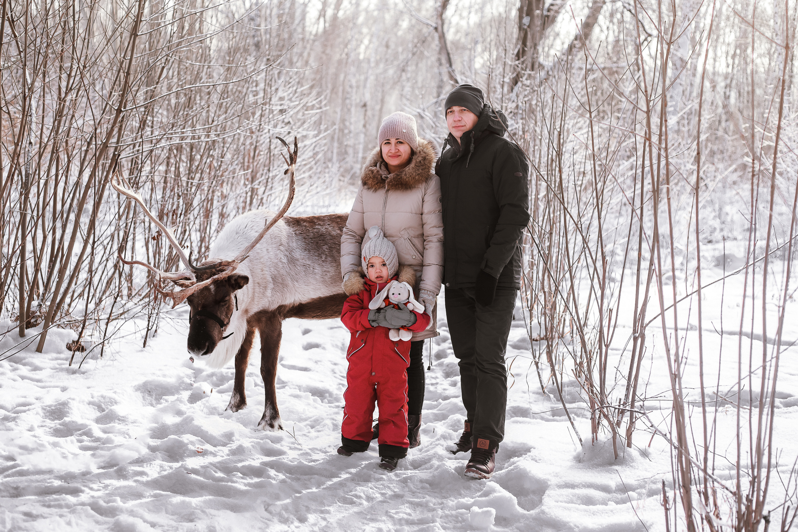 Фотосессии с Оленем. Фотограф в Томске Юлия Постнова