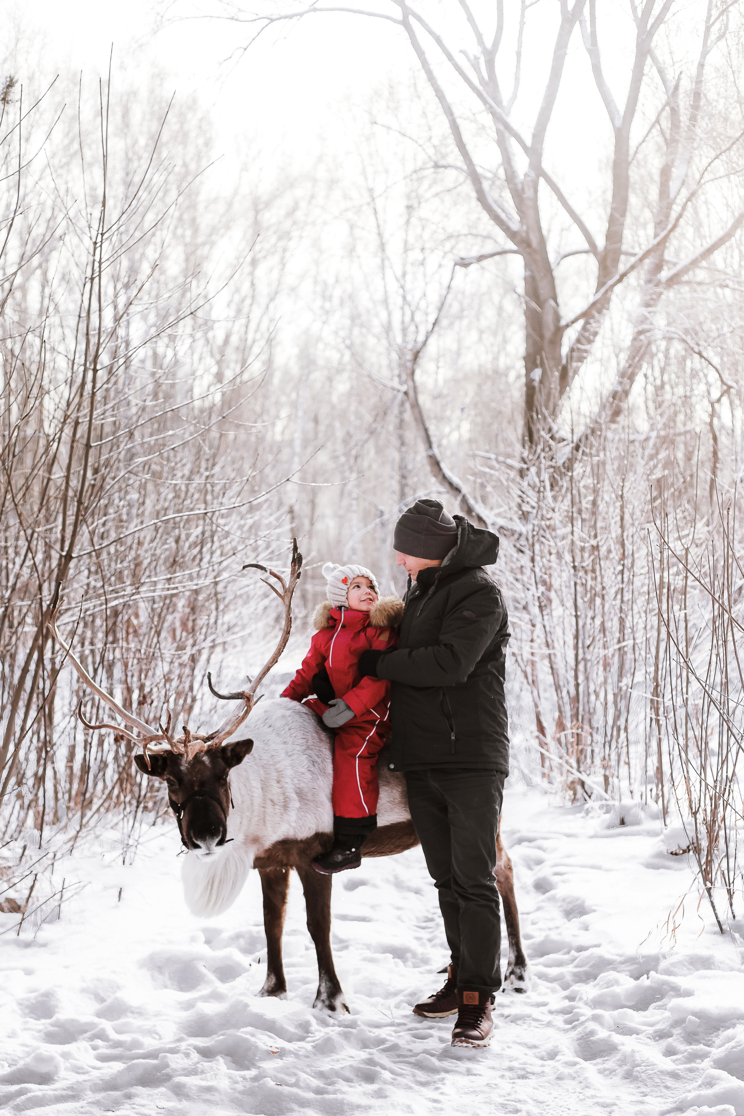 Фотосессии с Оленем. Фотограф в Томске Юлия Постнова