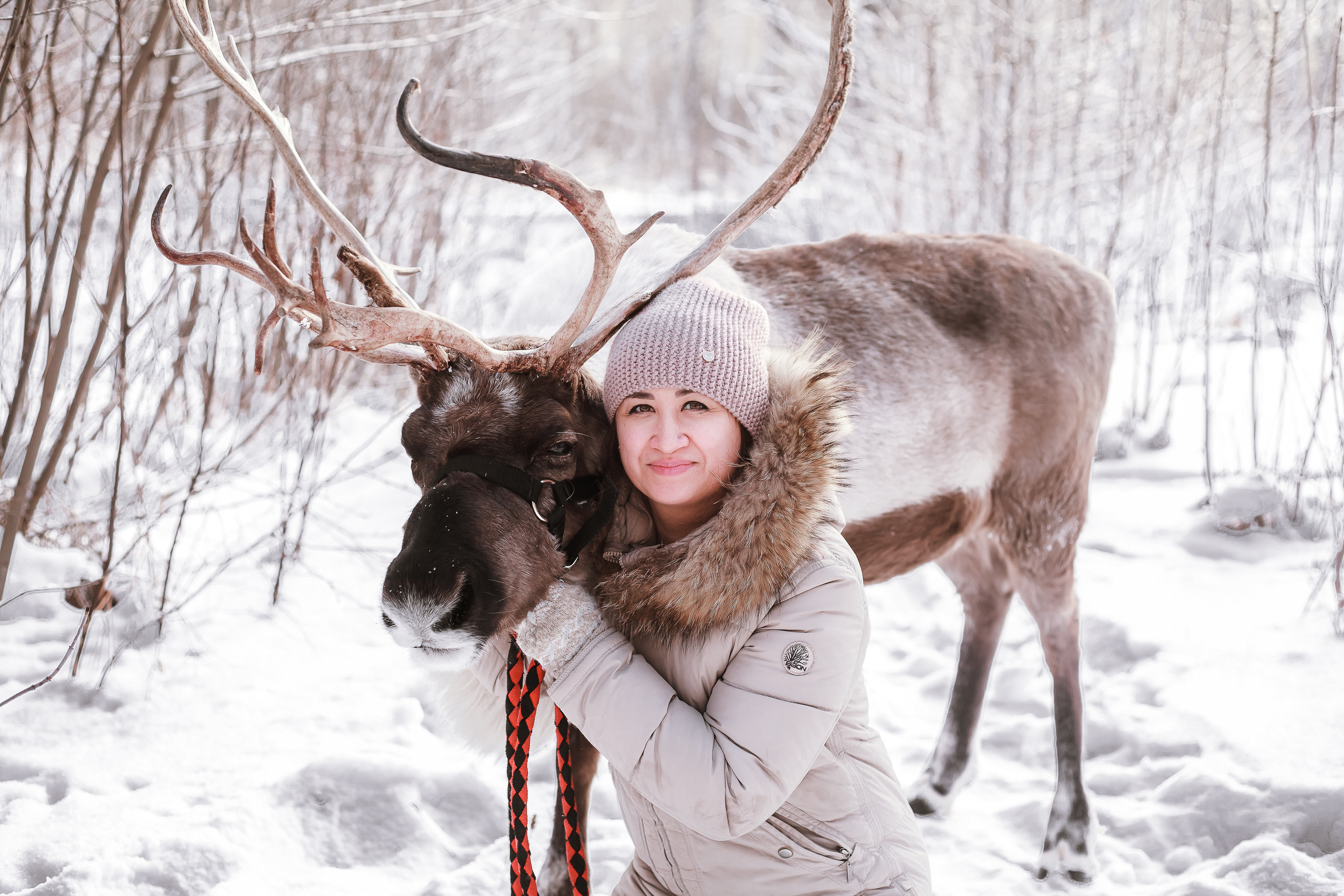 Фотосессии с Оленем. Фотограф в Томске Юлия Постнова