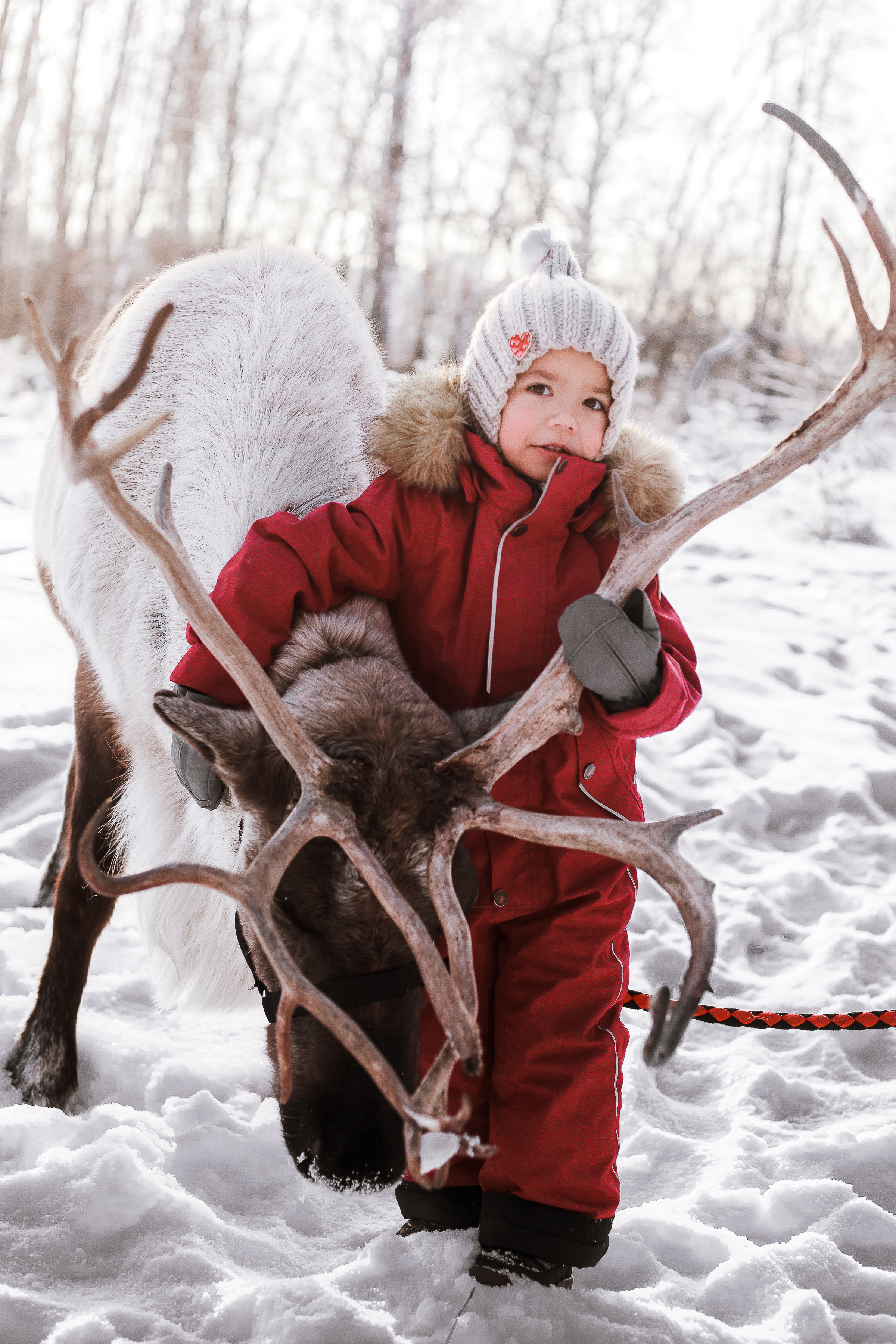 Фотосессии с Оленем. Фотограф в Томске Юлия Постнова