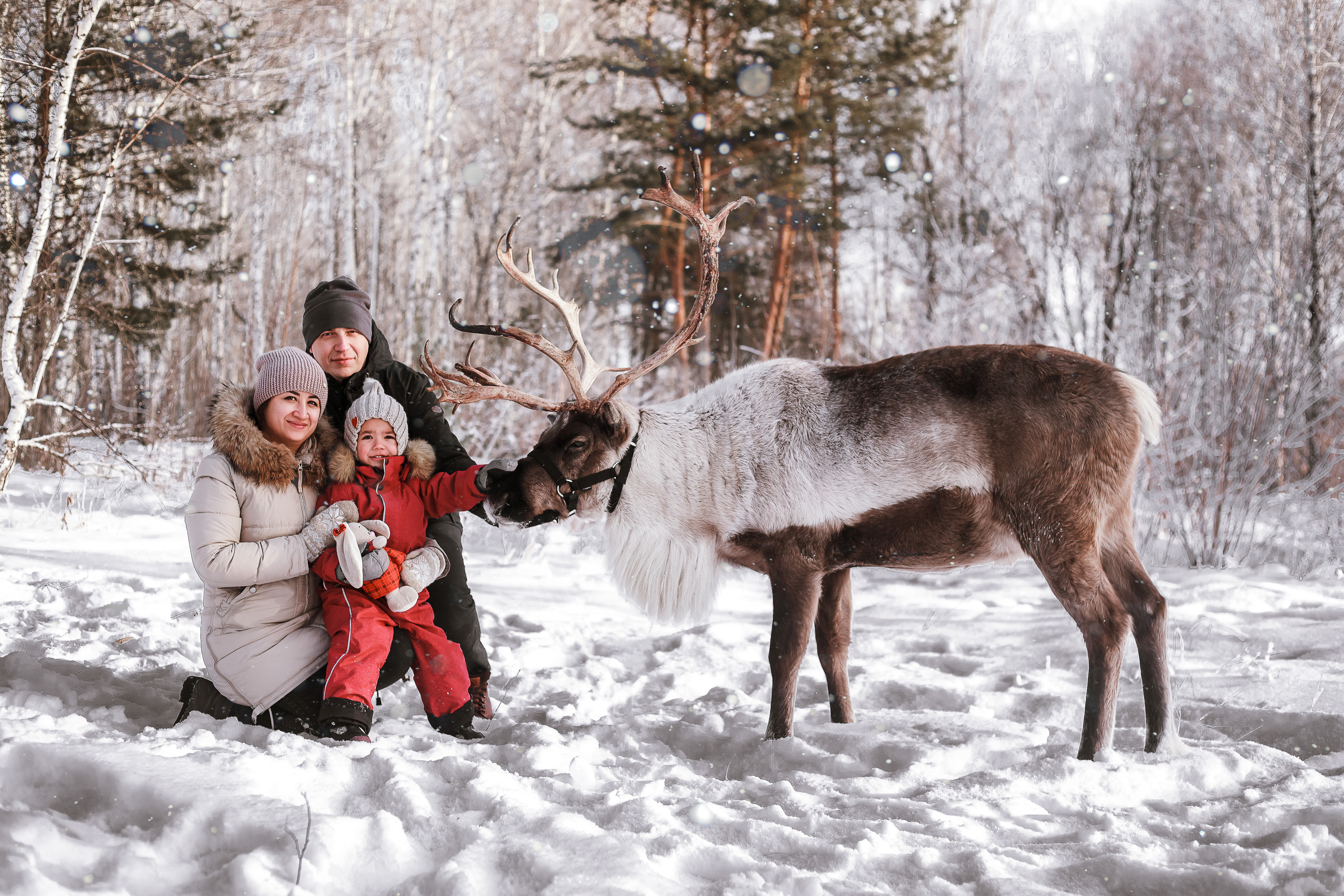 Фотосессии с Оленем. Фотограф в Томске Юлия Постнова