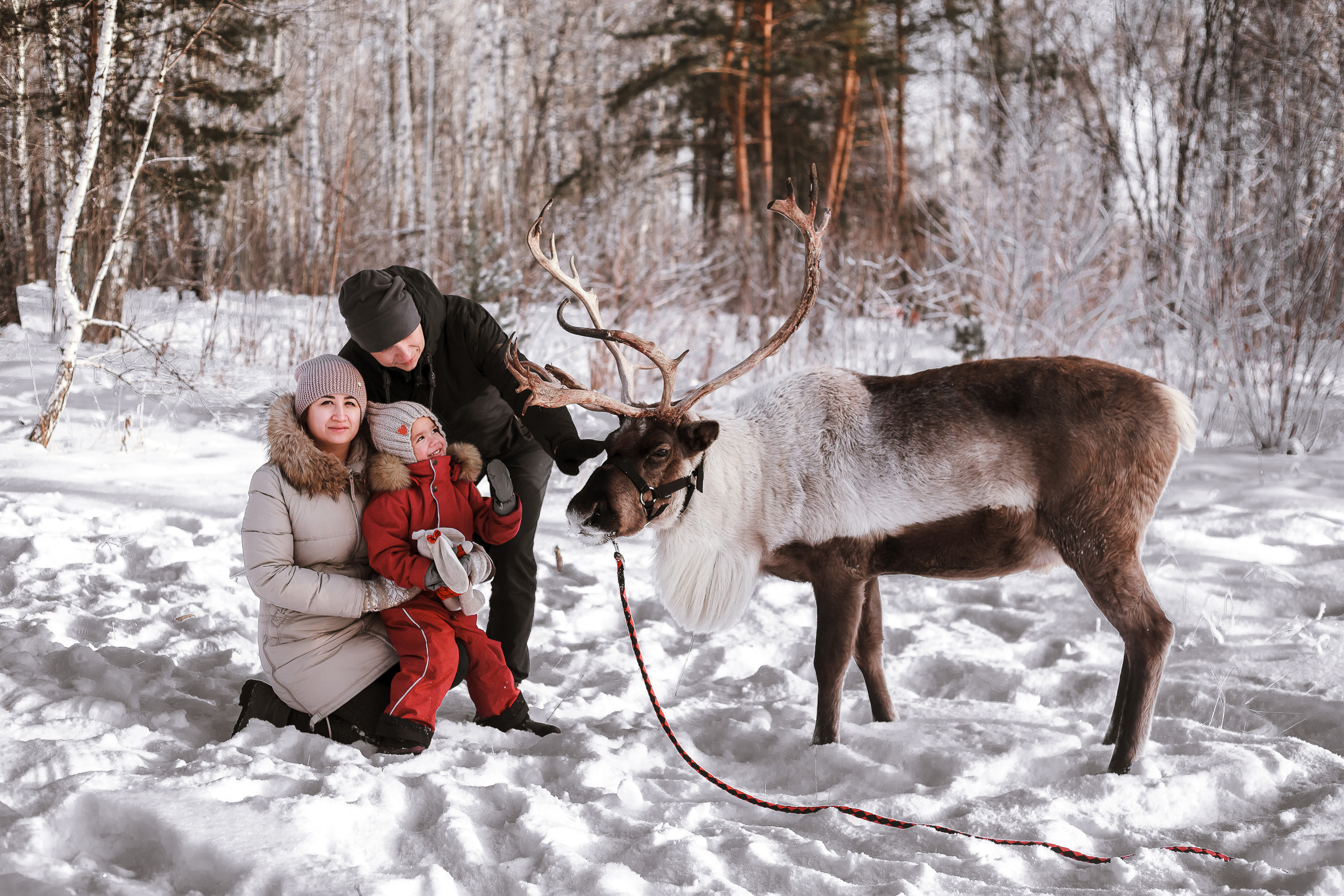 Фотосессии с Оленем. Фотограф в Томске Юлия Постнова
