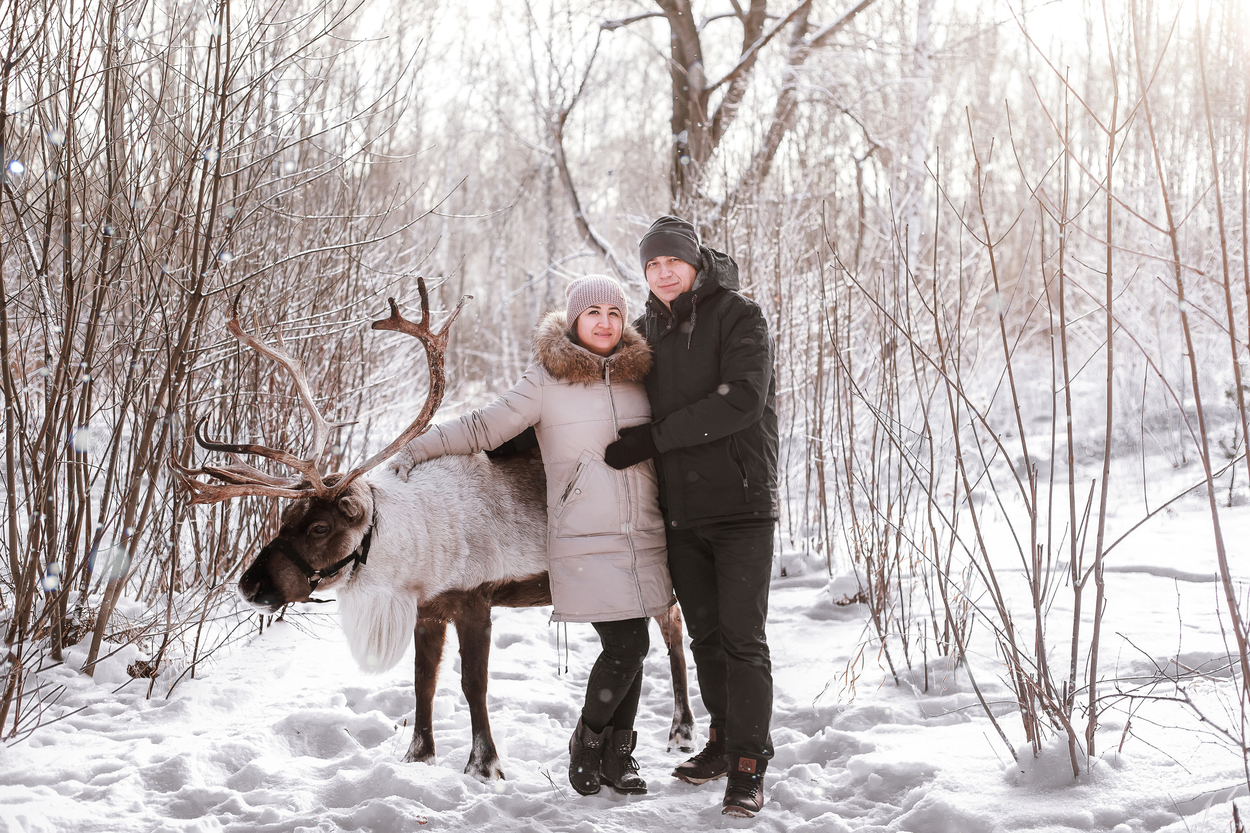 Фотосессии с Оленем. Фотограф в Томске Юлия Постнова