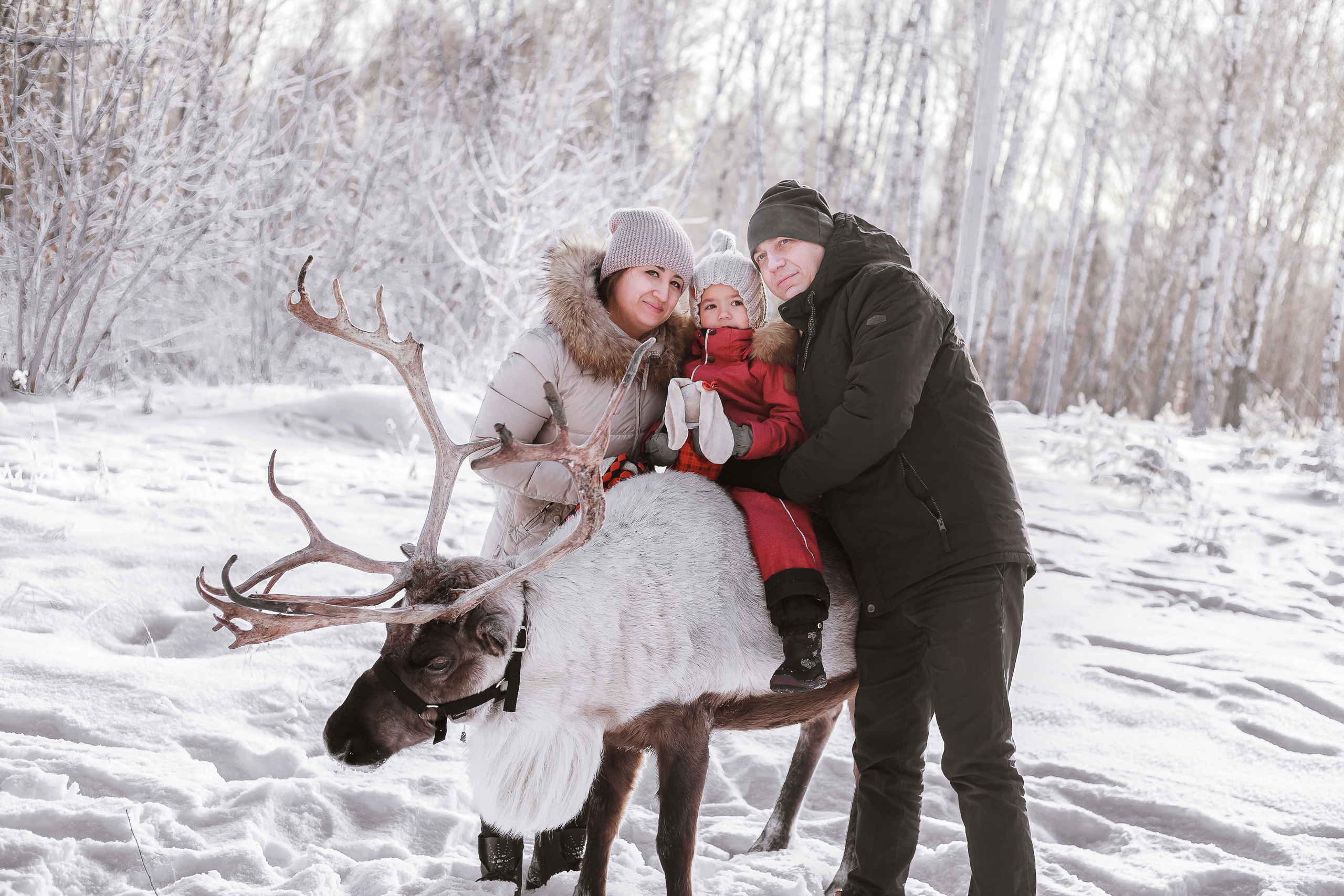 Фотосессии с Оленем. Фотограф в Томске Юлия Постнова