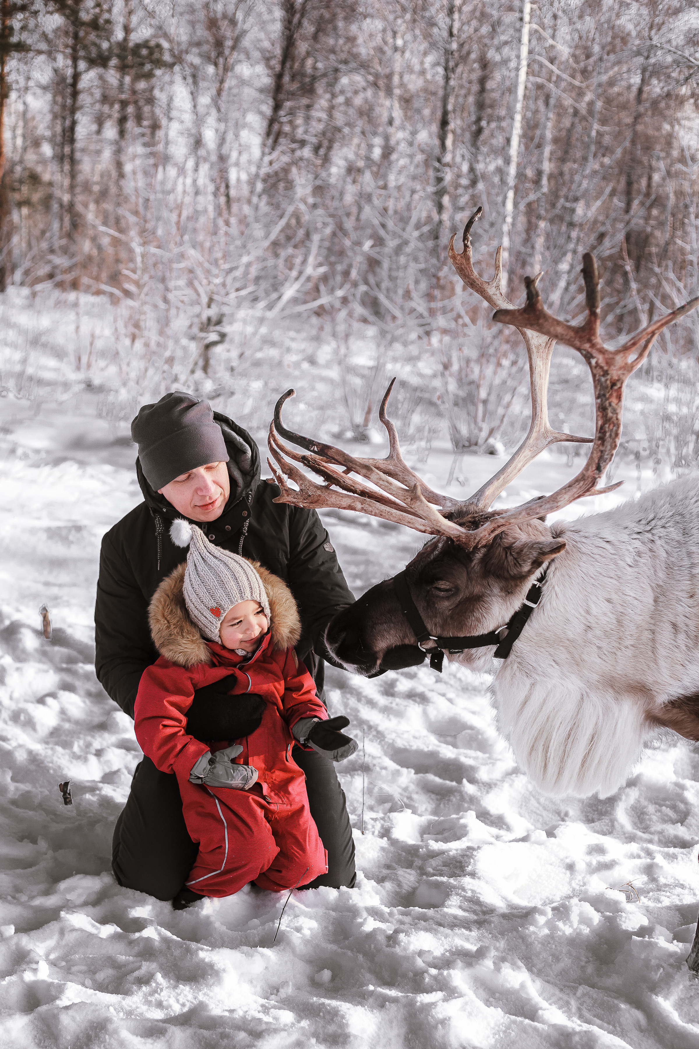 Фотосессии с Оленем. Фотограф в Томске Юлия Постнова