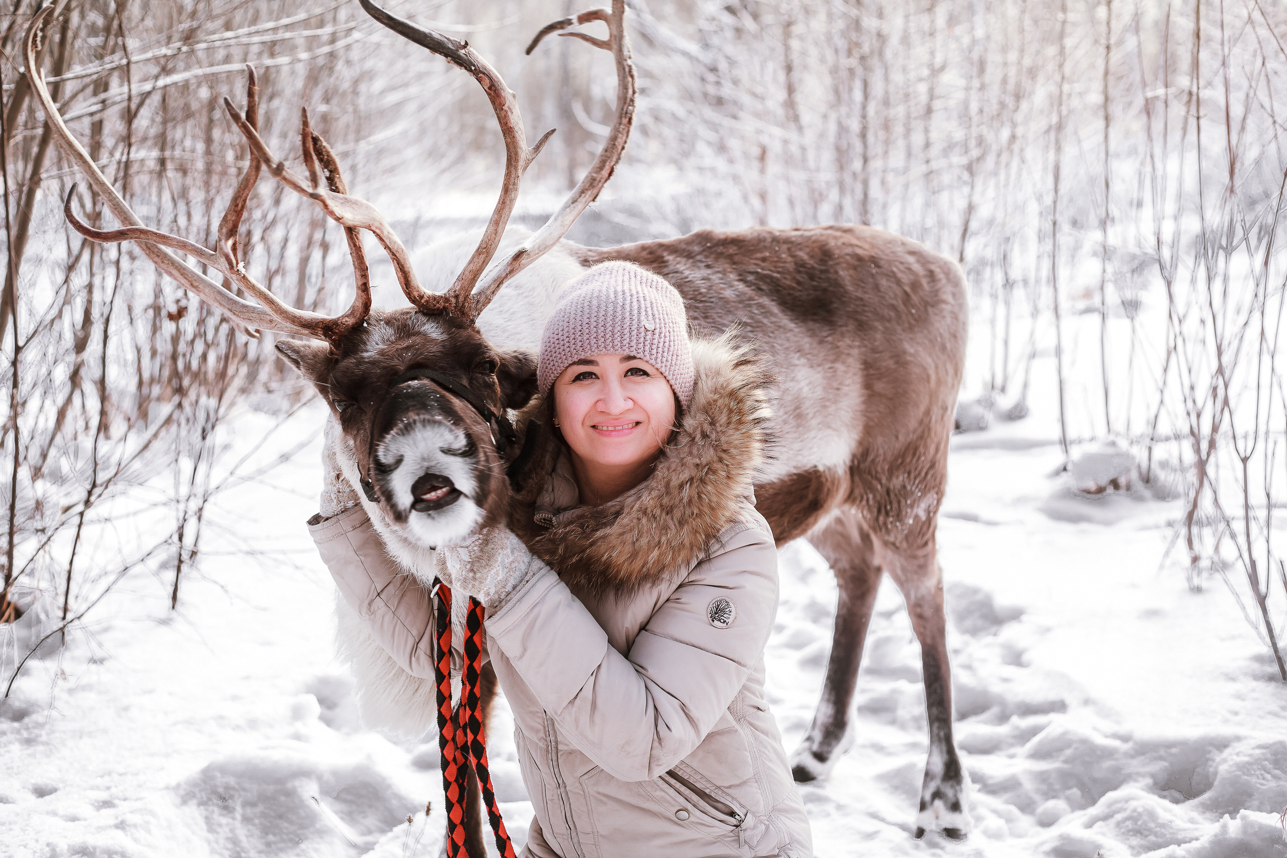 Фотосессии с Оленем. Фотограф в Томске Юлия Постнова