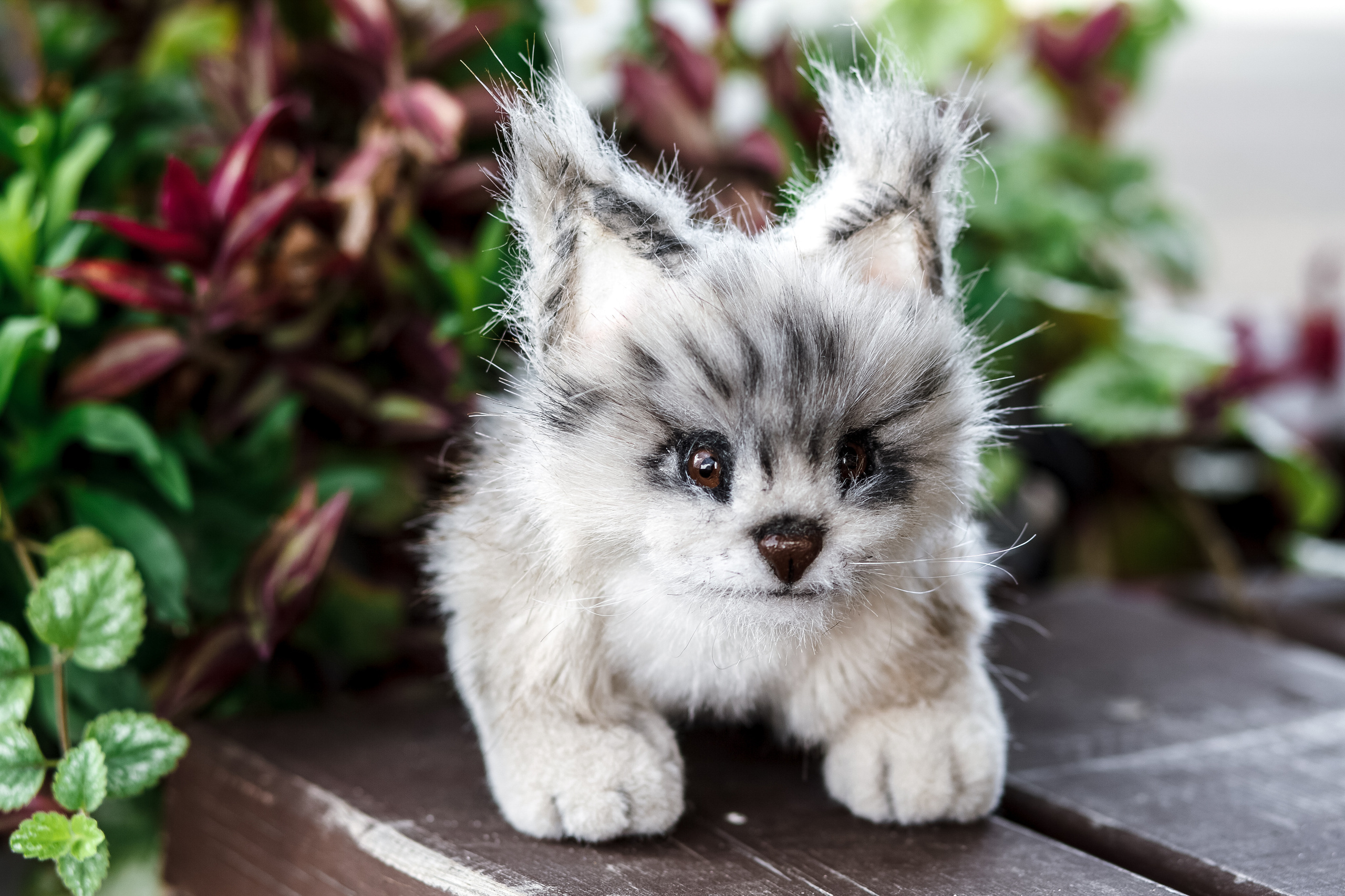 Семейная прогулка. Фотограф в Томске Юлия Постнова
