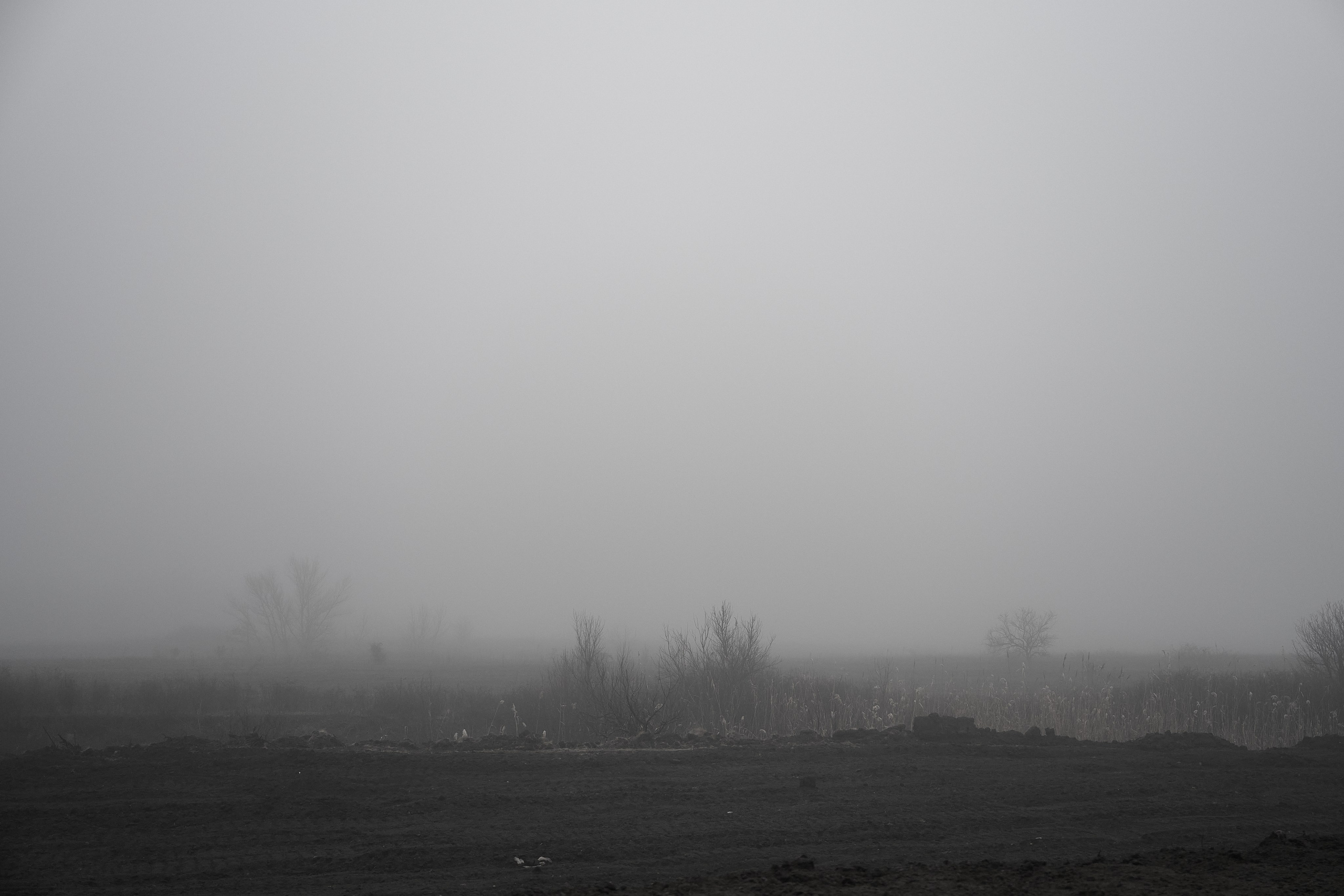 Дорога домой. Туман. Фотограф Роман Адлер