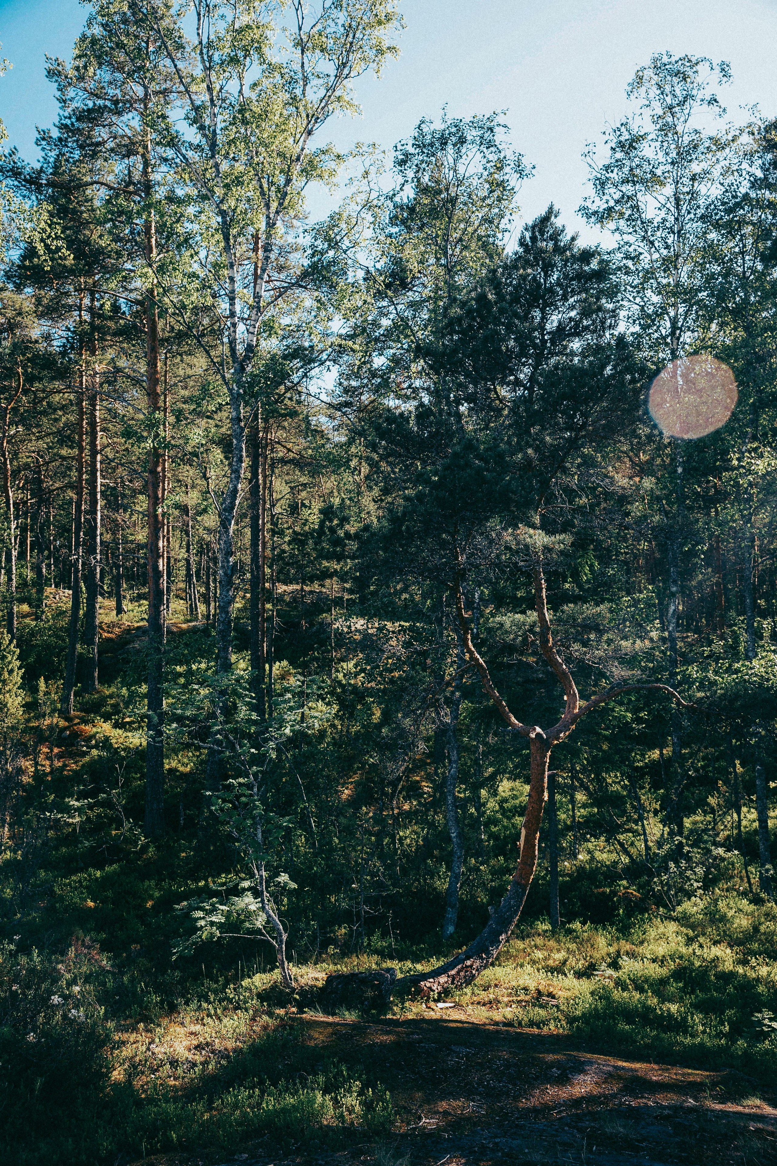 Папа и дочка. Фотограф в Москве Шаганова Нина