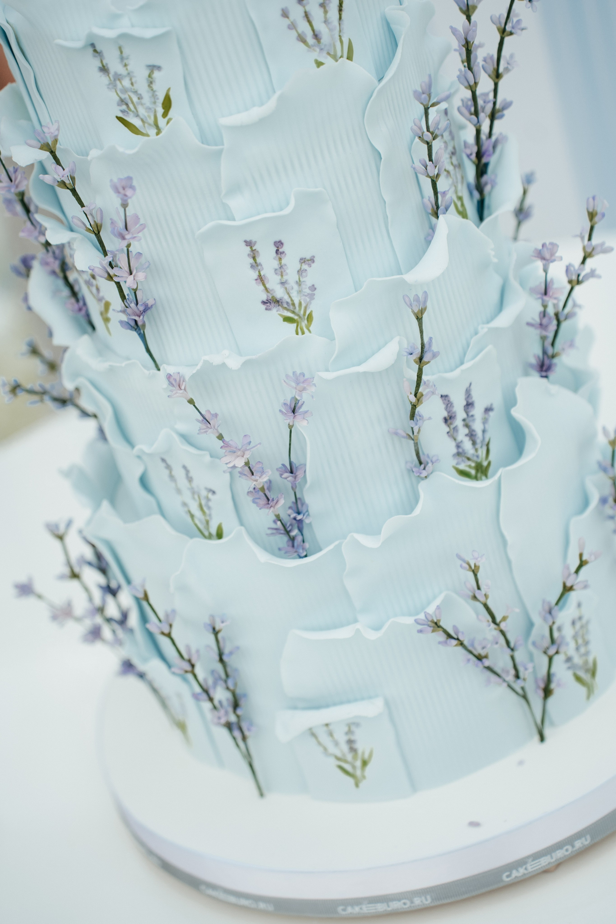 Где любовь, там жизнь!. Свадебный фотограф Москва Александра Аверкова