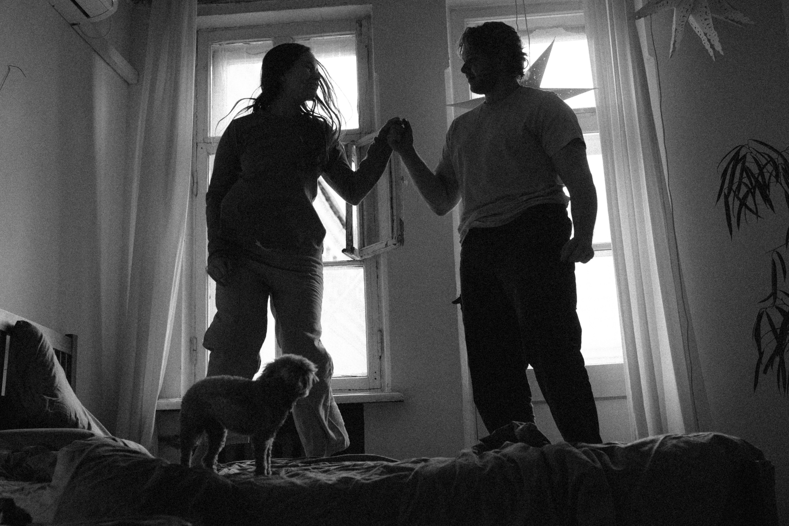 Ання и её кудрявая команда. Фотограф анималист в Москве Ольга Агушева