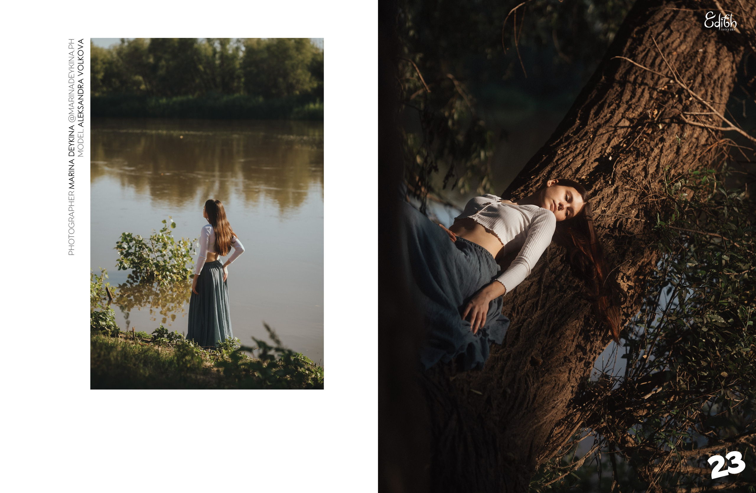 Публикации в журналах