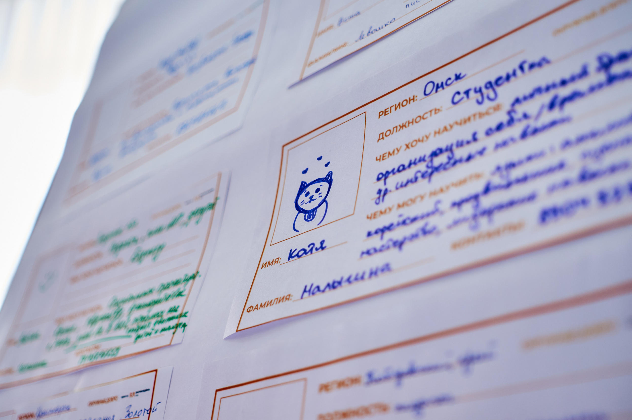 Окружной форум добровольцев СФО и ДФО. Фотограф | Кнышева Валерия | Санкт-Петербург