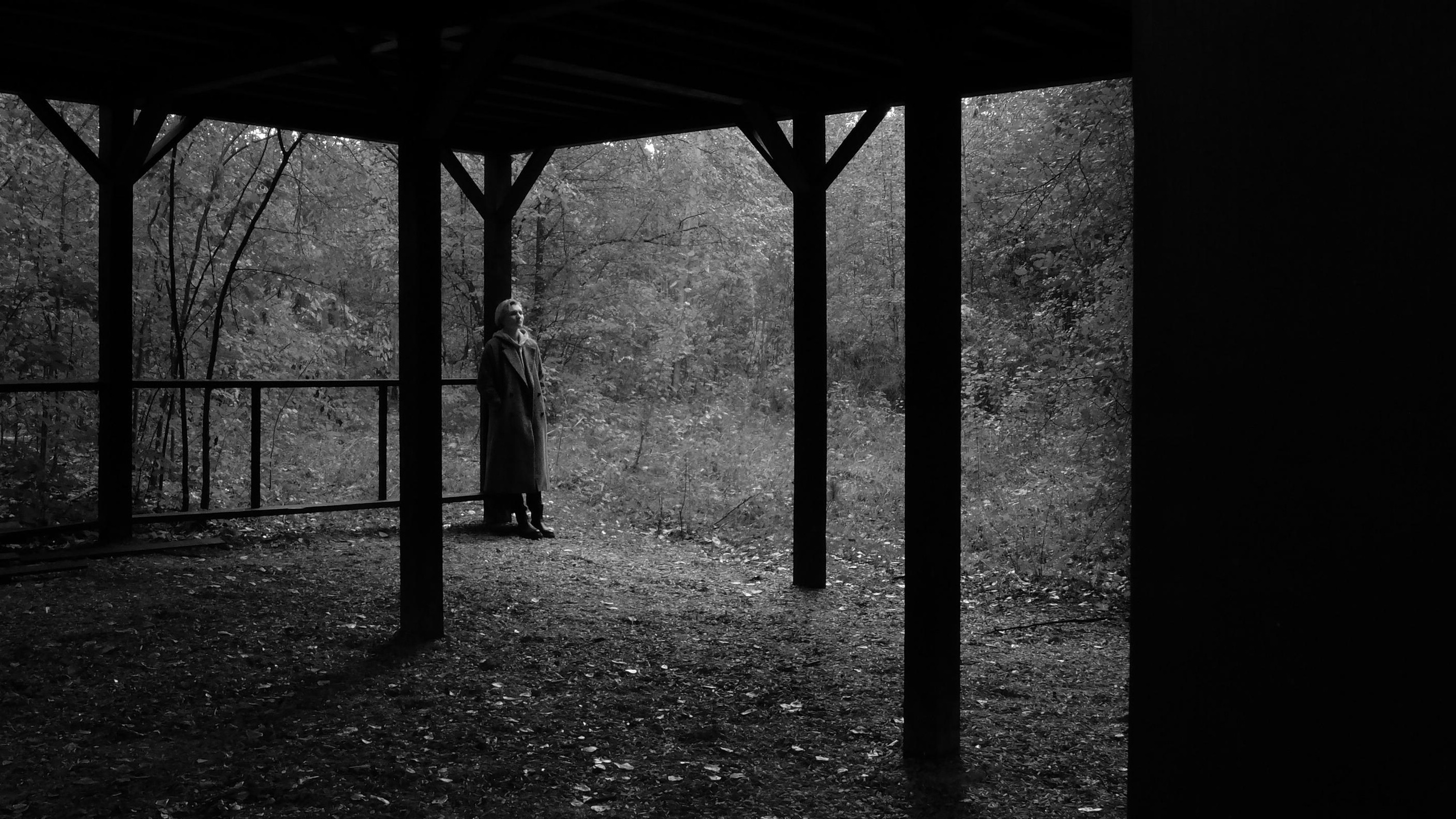 Влюбленные в жизнь