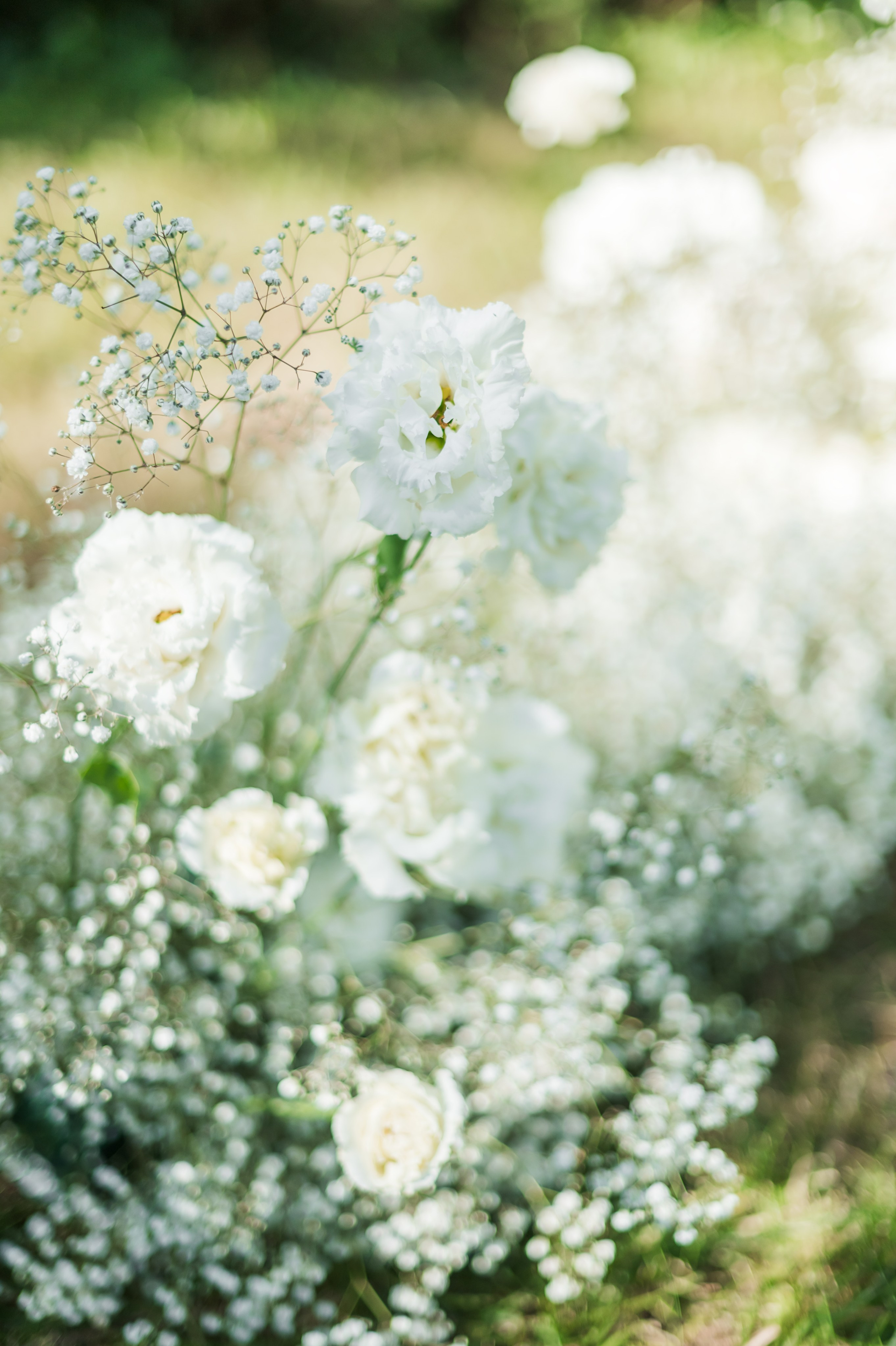 Ангелина и Вадим. Организация свадеб под ключ в Раменском