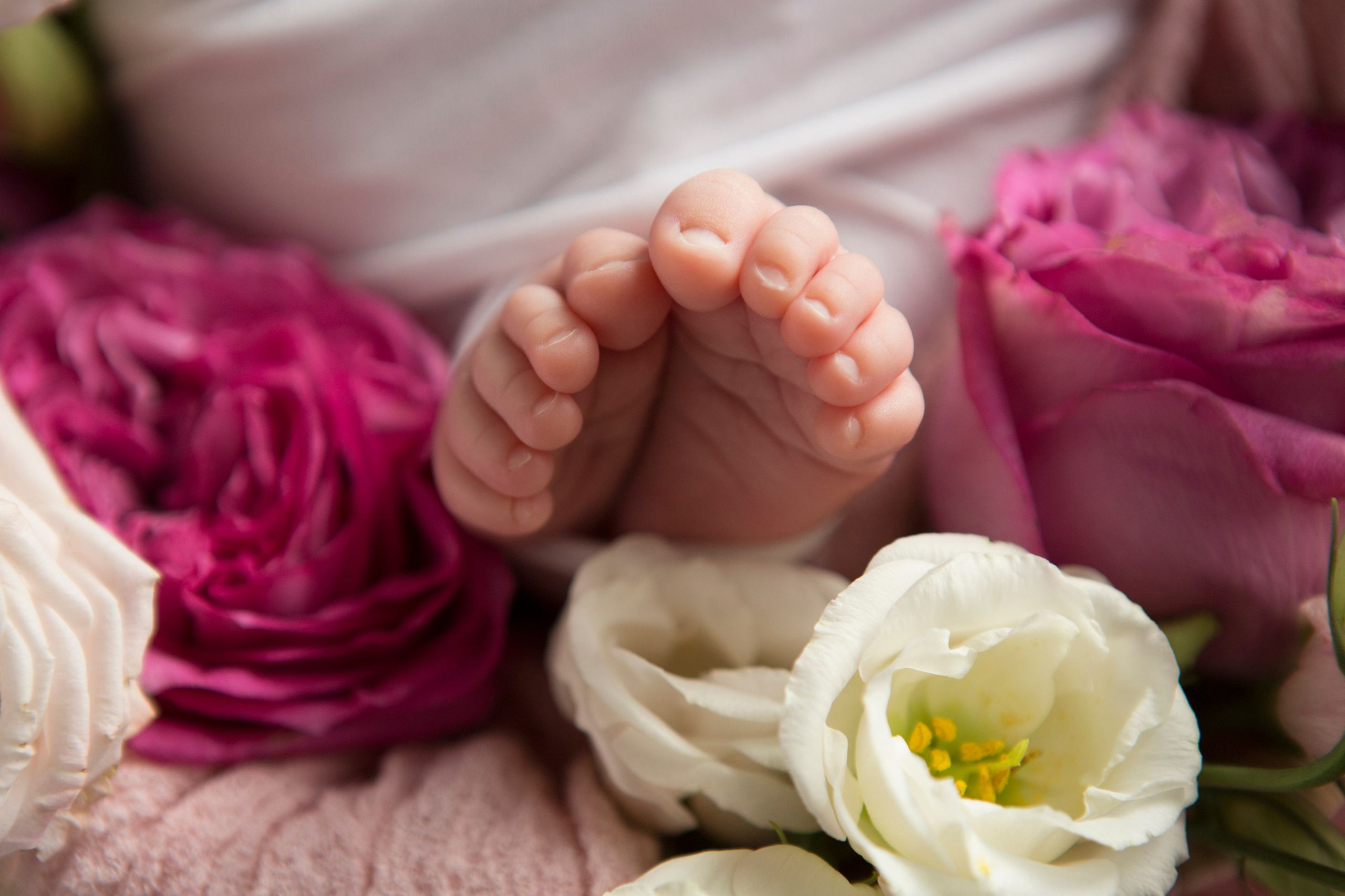 Фотосессия новорожденного. Фотограф новорожденных и беременности, Екатеринбург Сметанина Наталья