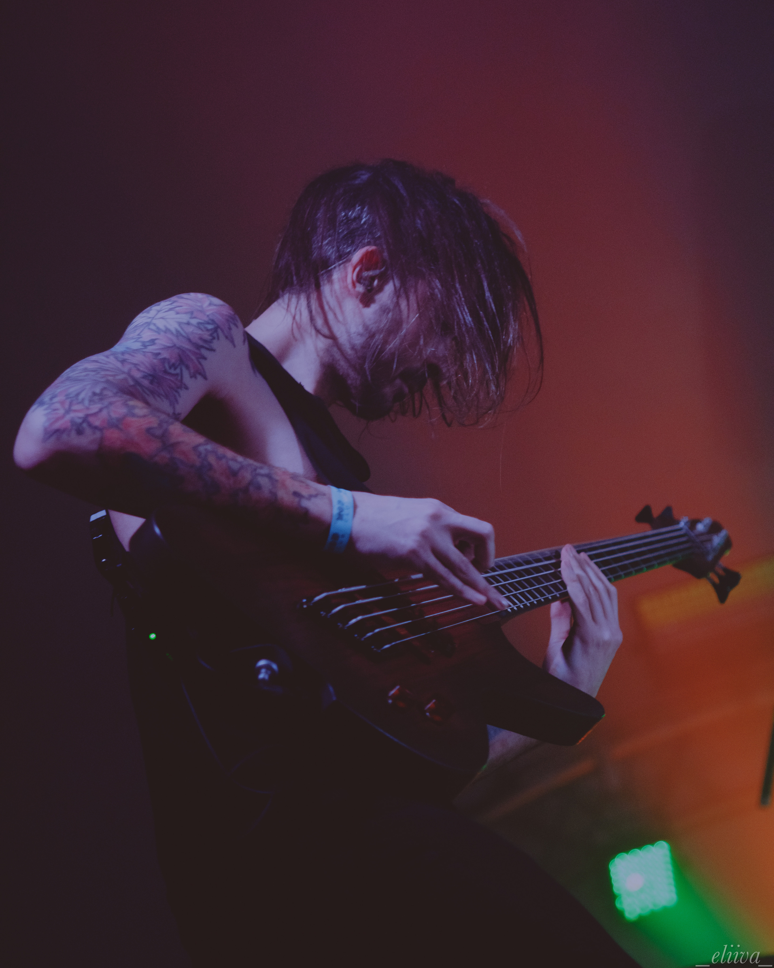 The Korea. Концертный фотограф в Санкт-Петербурге