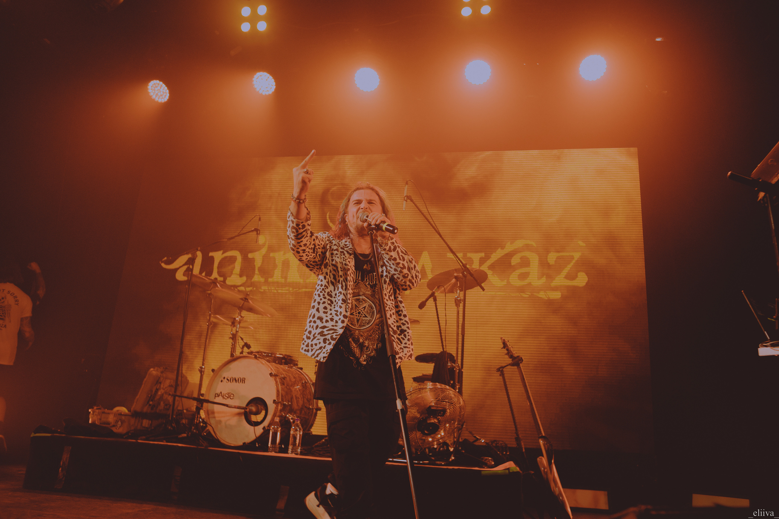 Animal Джаz. Концертный фотограф в Санкт-Петербурге