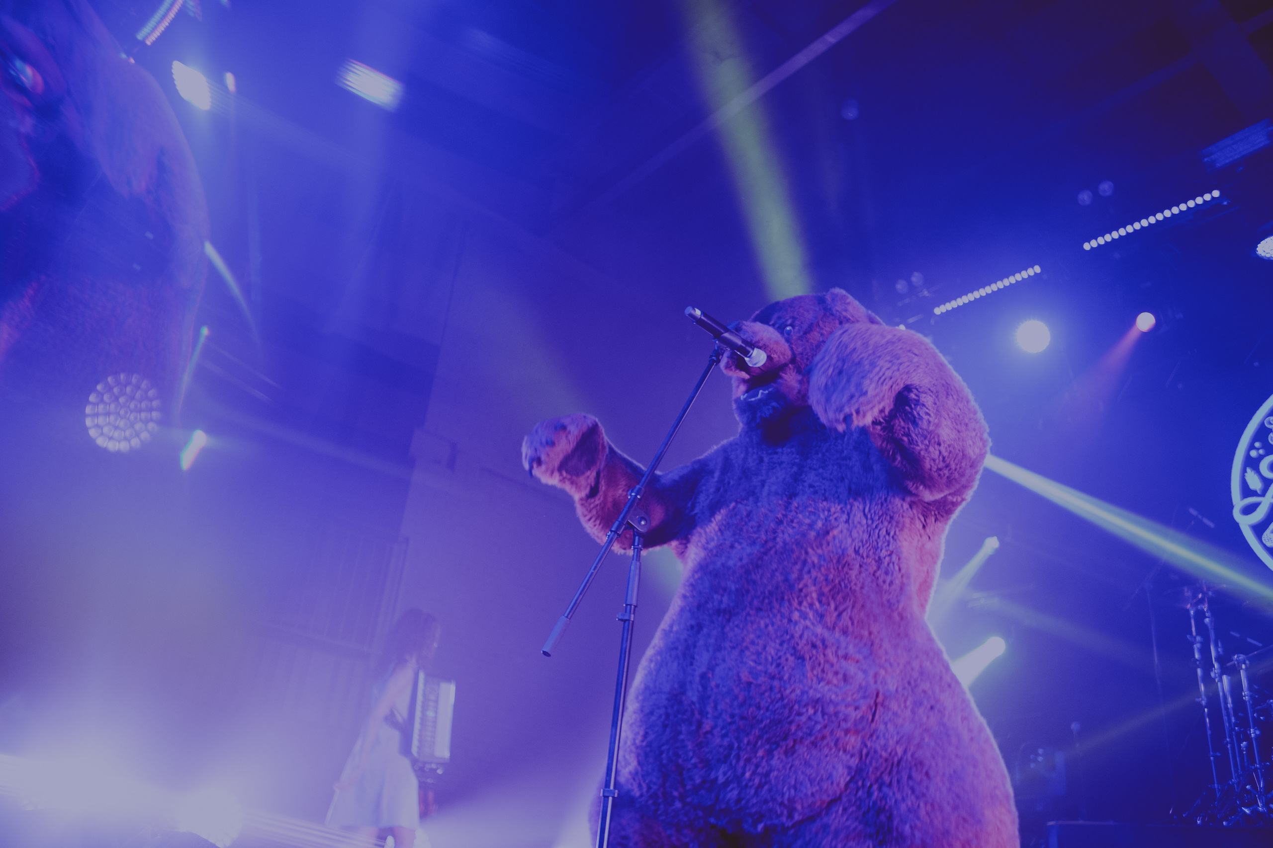 Нейромонах. Концертный фотограф в Санкт-Петербурге