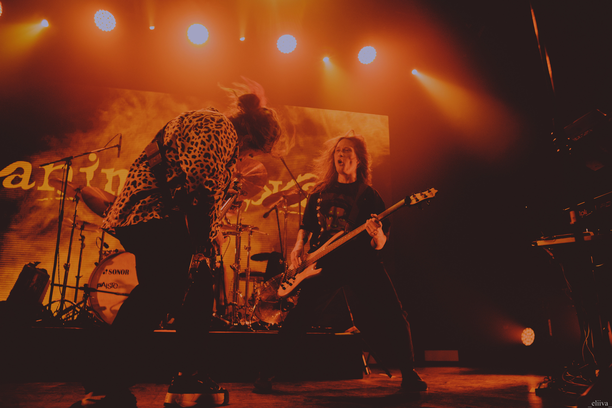 Animal Джаz. Концертный фотограф в Санкт-Петербурге