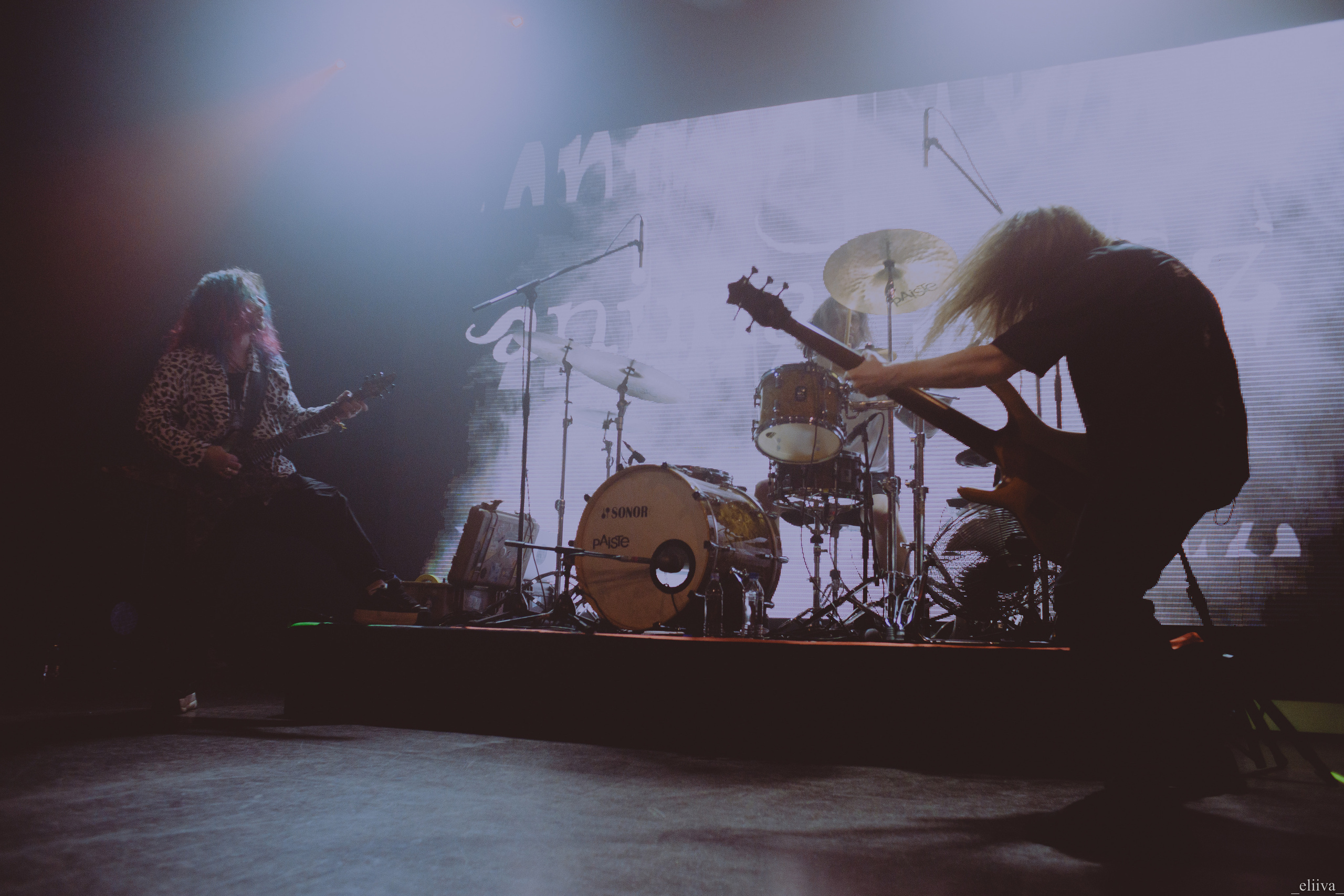 Animal Джаz. Концертный фотограф в Санкт-Петербурге