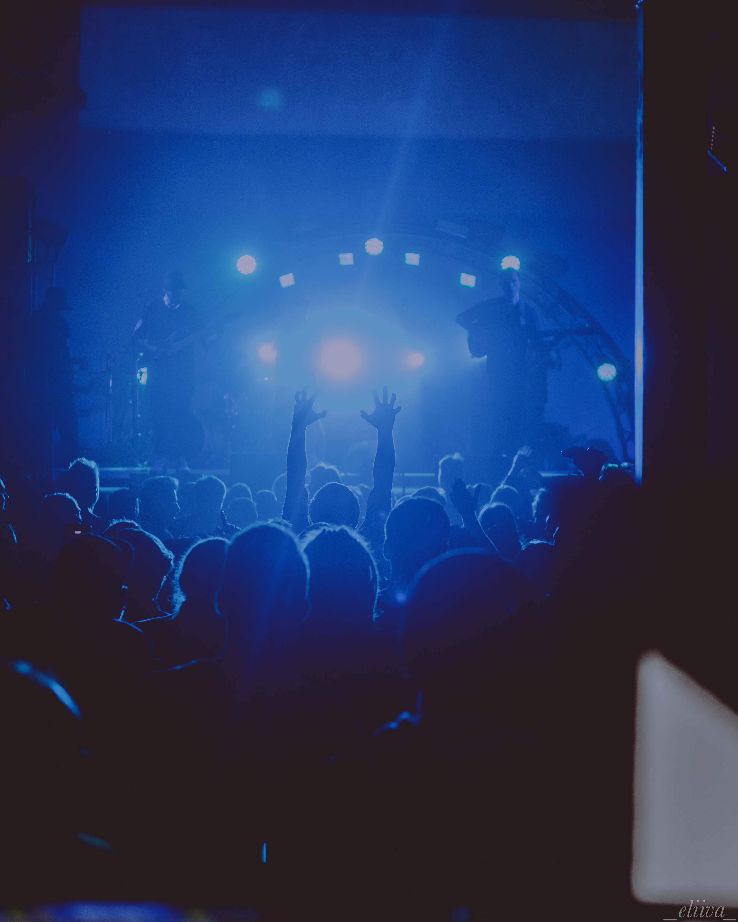 The Korea. Концертный фотограф в Санкт-Петербурге