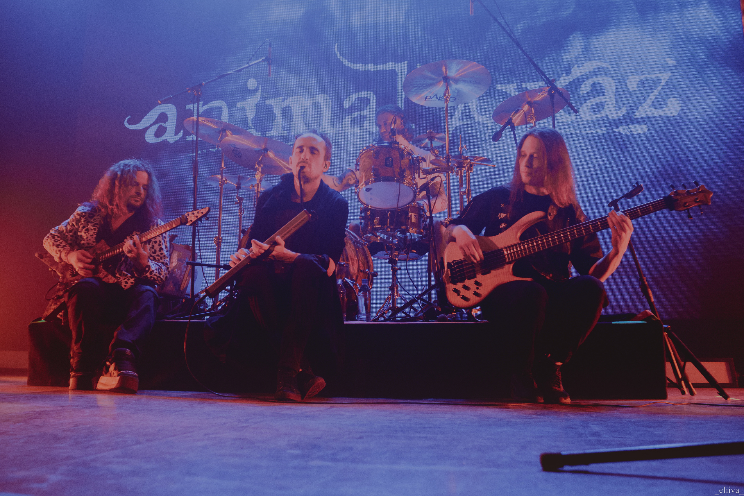 Animal Джаz. Концертный фотограф в Санкт-Петербурге