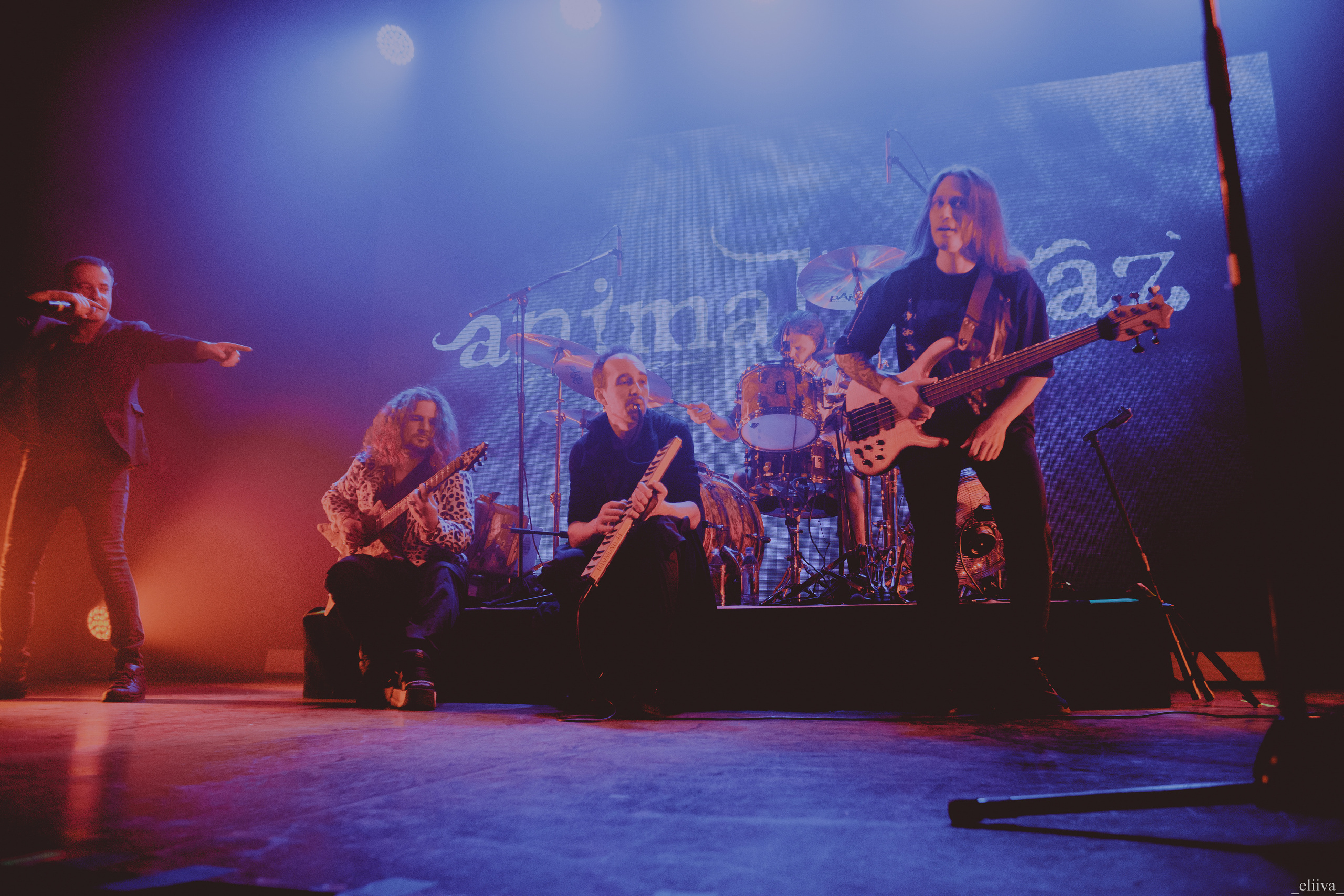 Animal Джаz. Концертный фотограф в Санкт-Петербурге