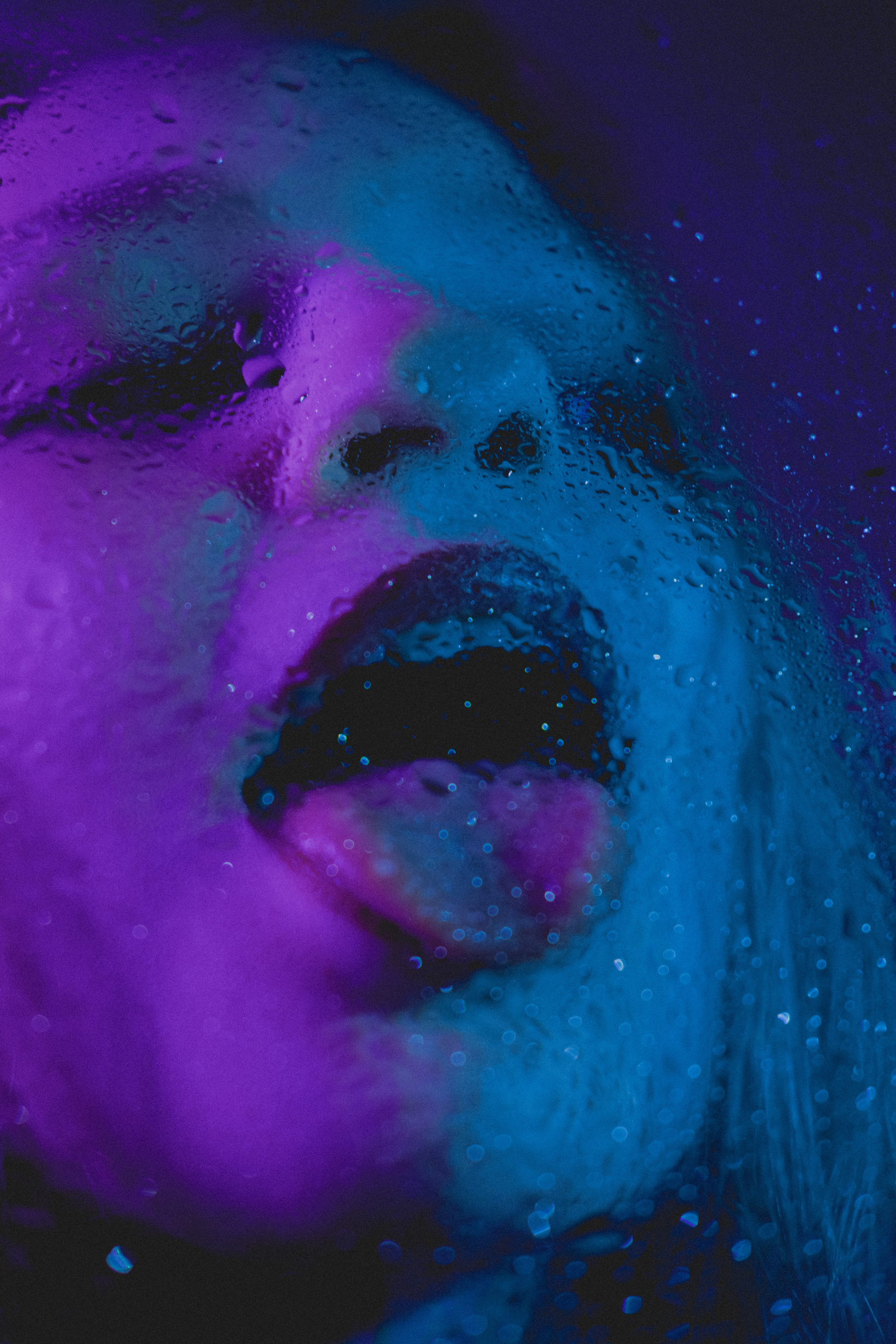 Поля. Концертный фотограф в Санкт-Петербурге