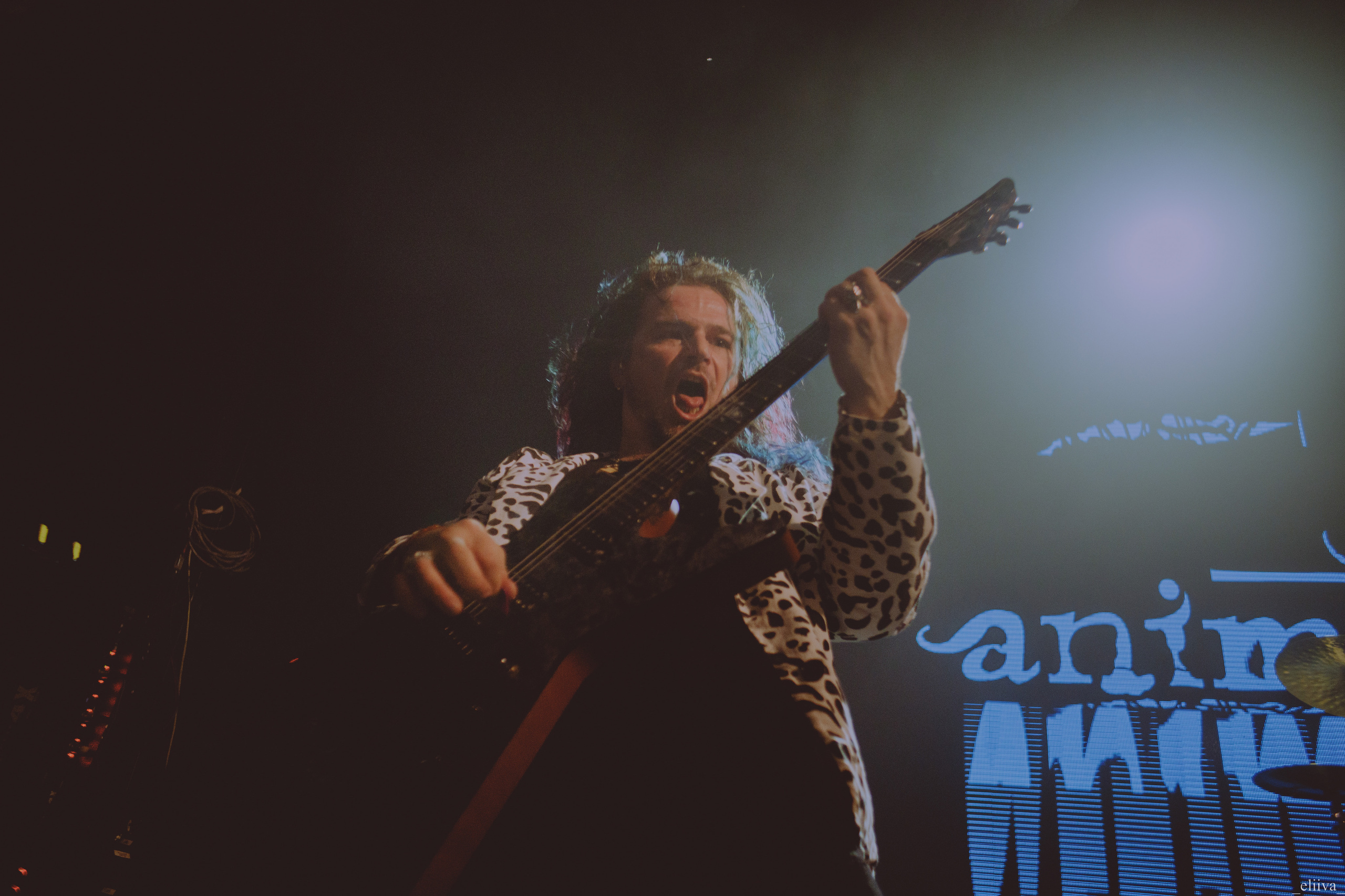 Animal Джаz. Концертный фотограф в Санкт-Петербурге