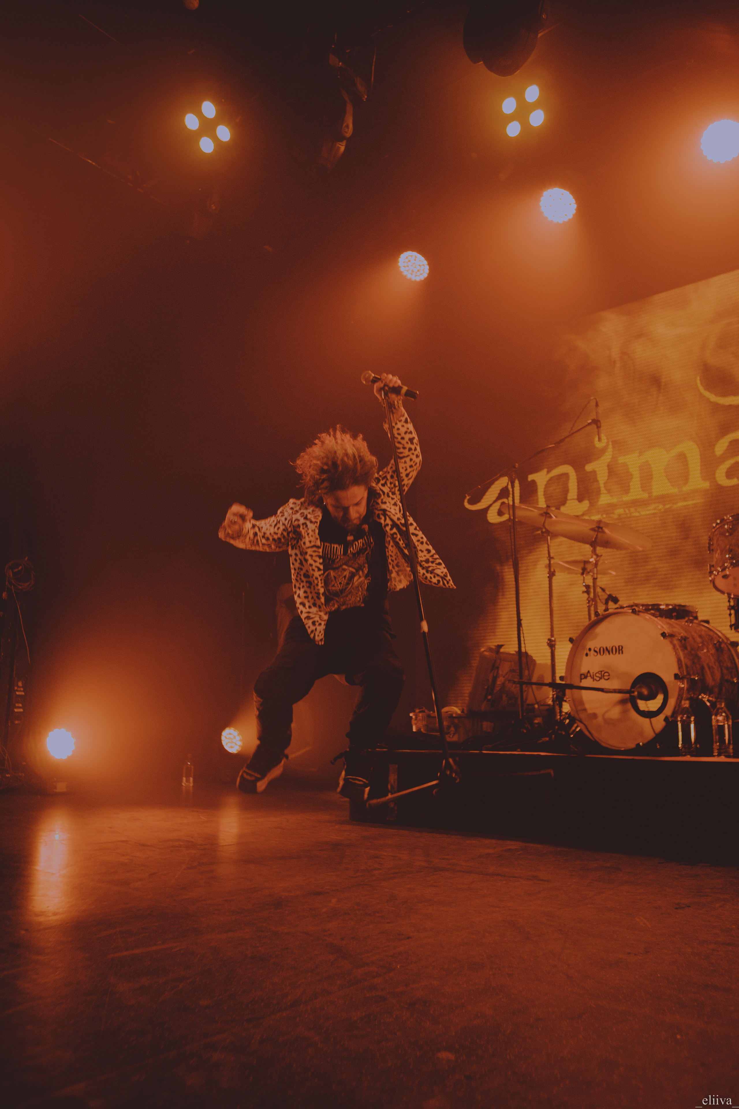 Animal Джаz. Концертный фотограф в Санкт-Петербурге
