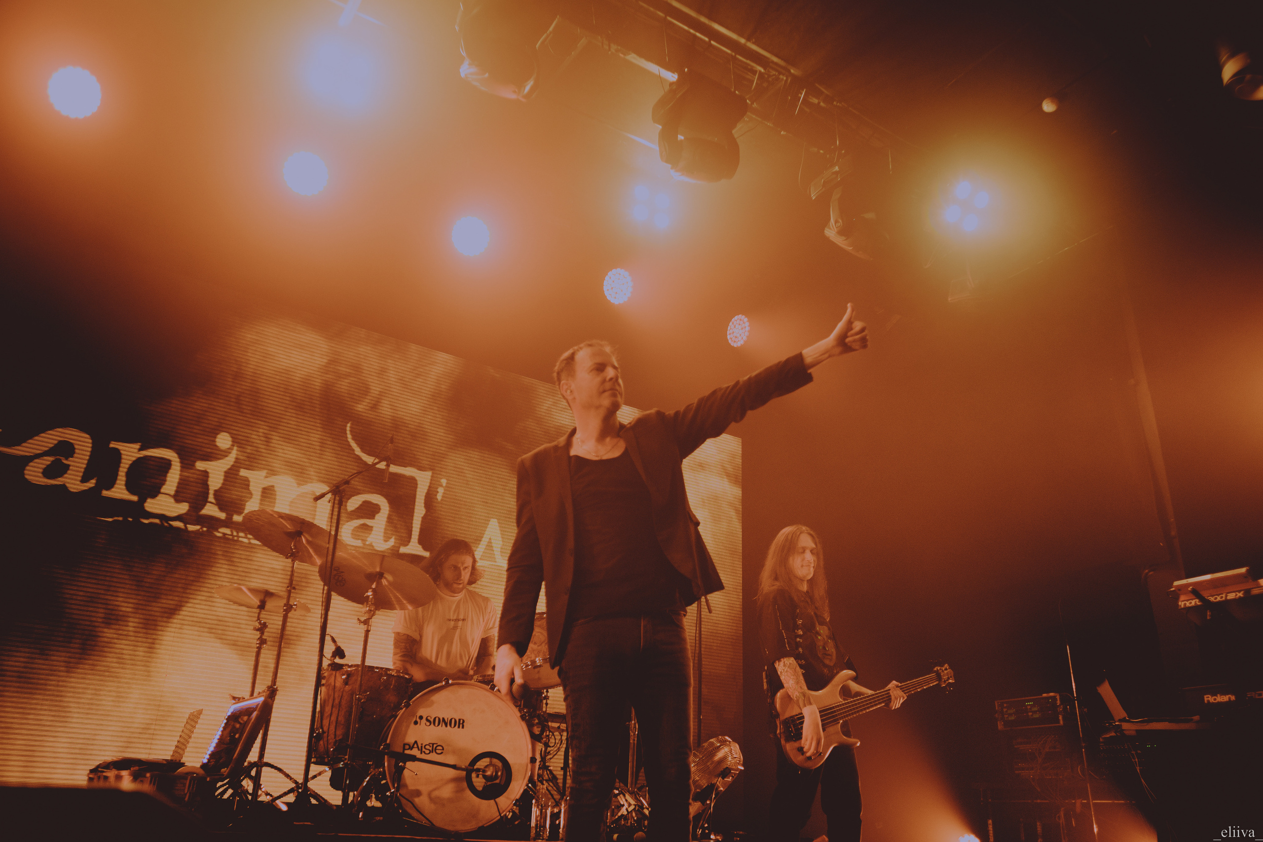 Animal Джаz. Концертный фотограф в Санкт-Петербурге