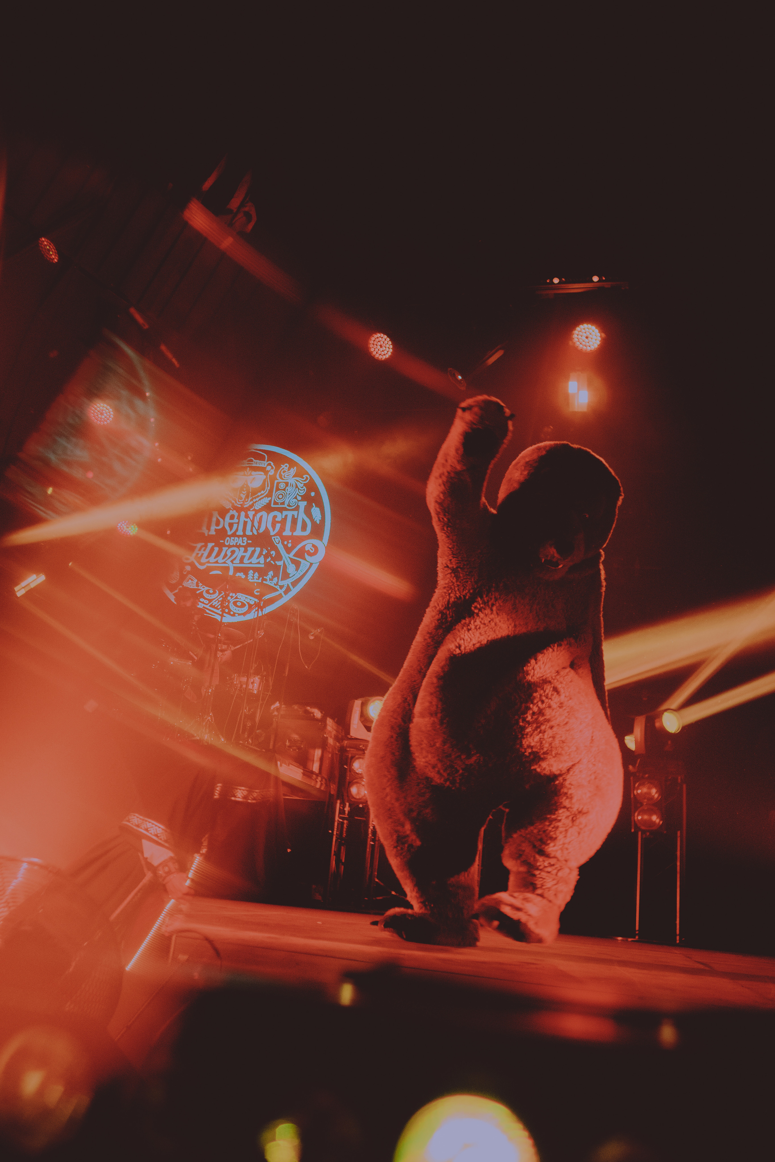 Нейромонах. Концертный фотограф в Санкт-Петербурге