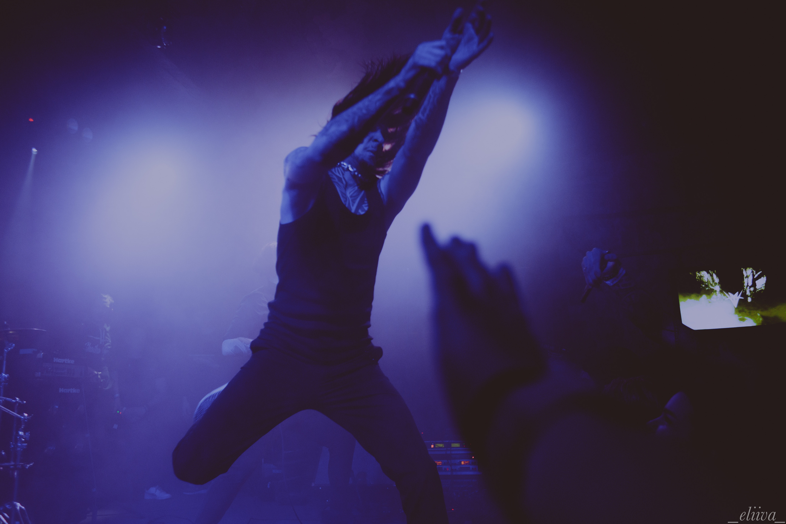 Три метра льда. Концертный фотограф в Санкт-Петербурге