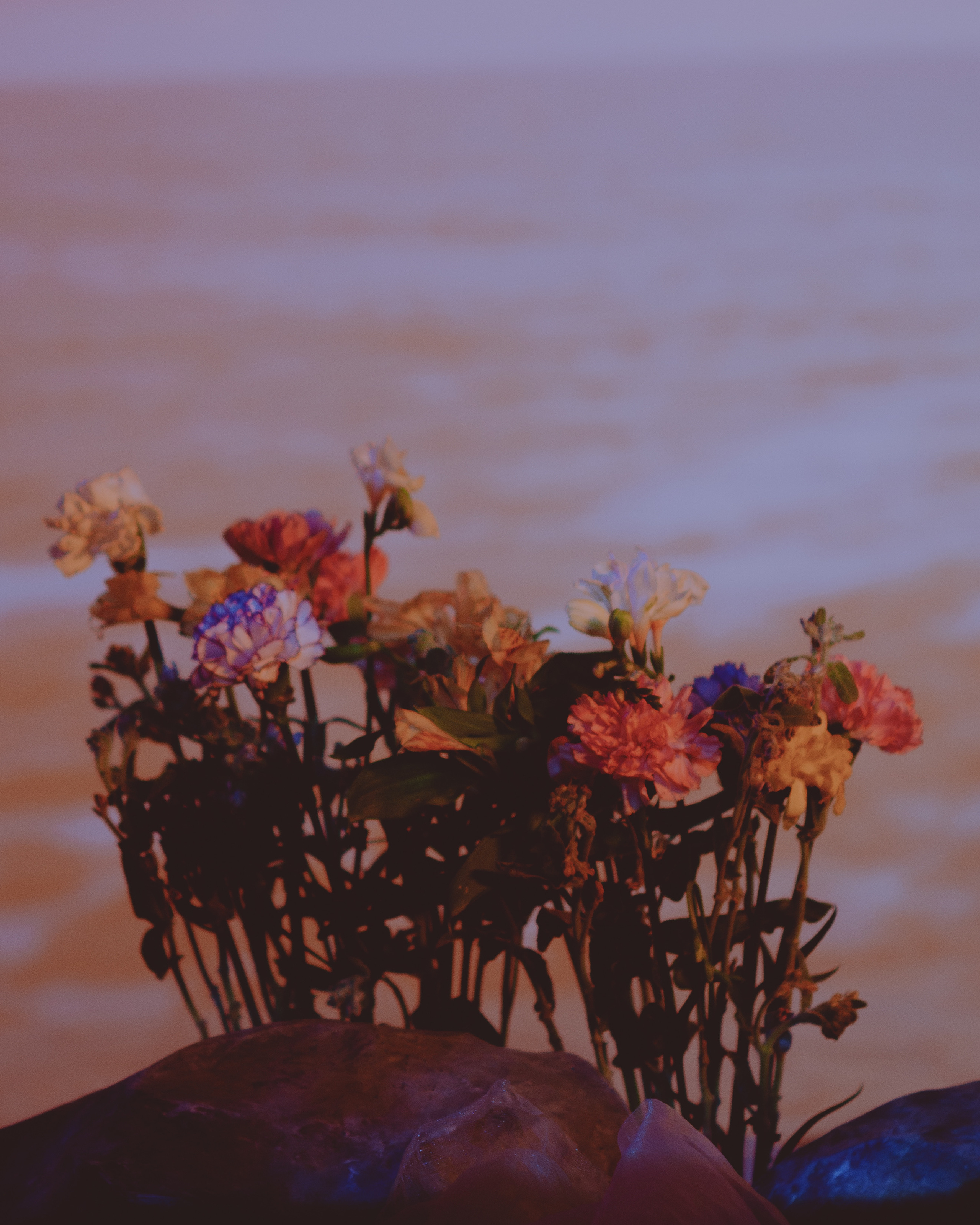 Фото с мк Машери. Концертный фотограф в Санкт-Петербурге