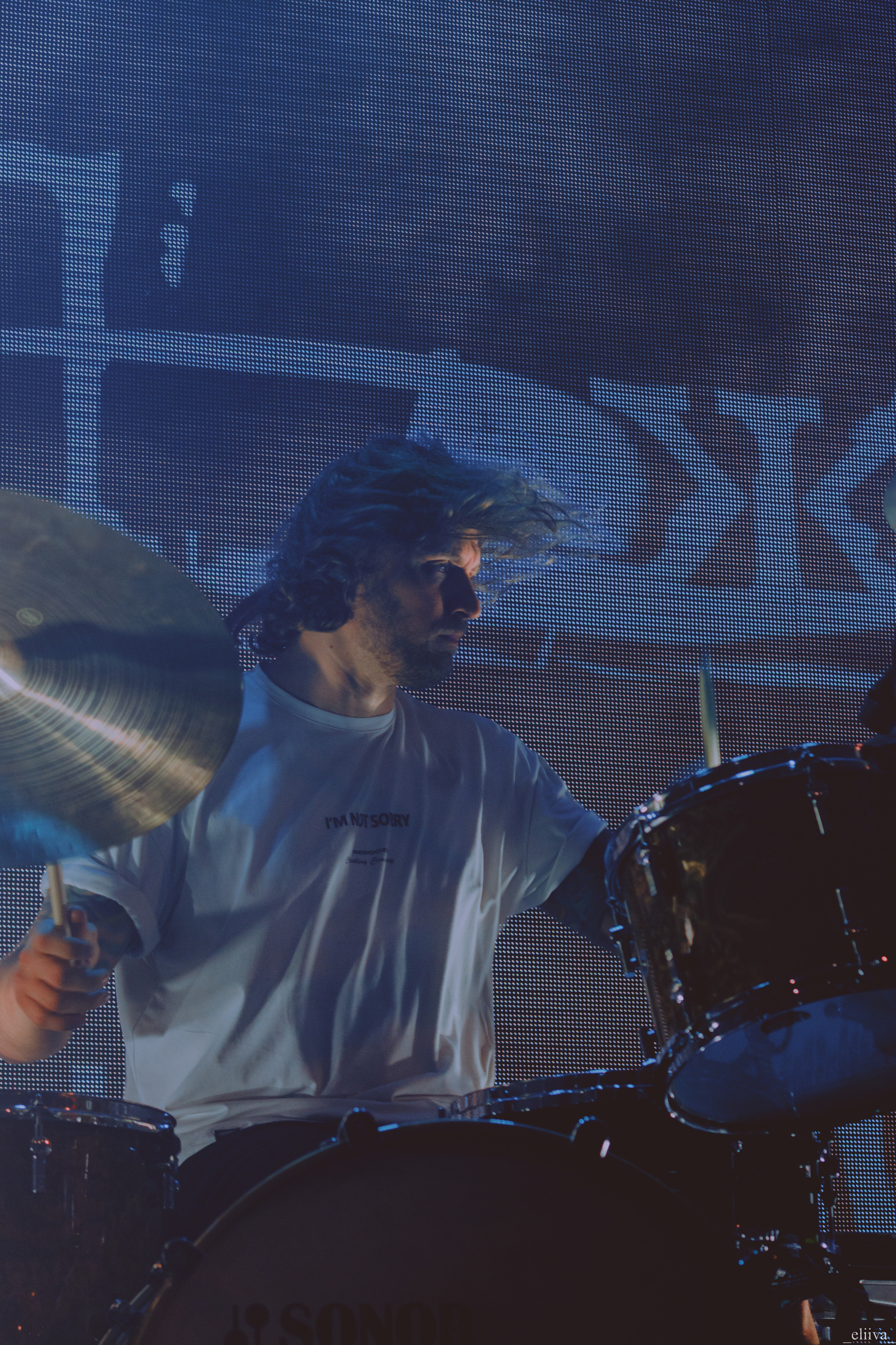 Animal Джаz. Концертный фотограф в Санкт-Петербурге