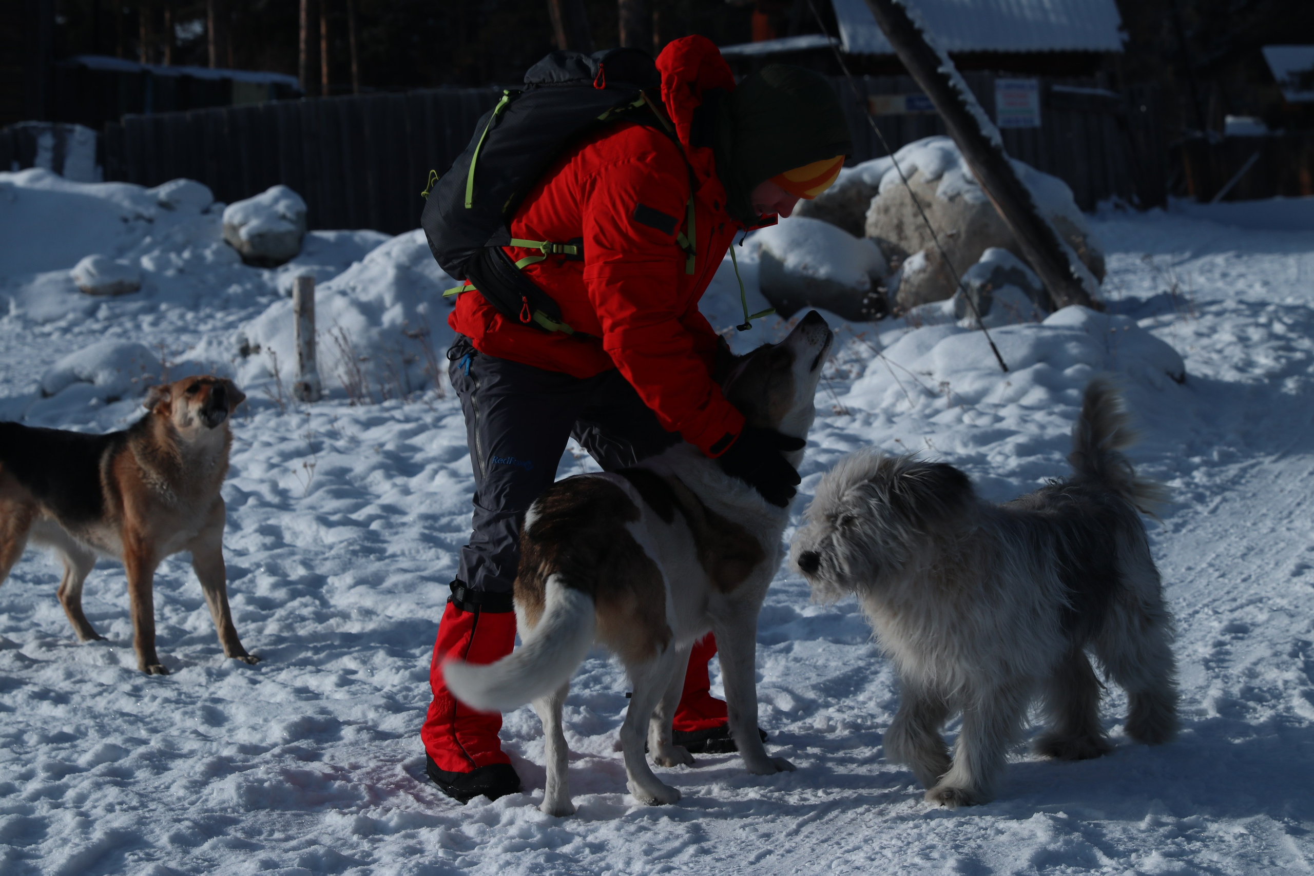 Аршан. Январь 2024. Путешественник-фотограф из Санкт-Петербурга Татьяна Свистулина