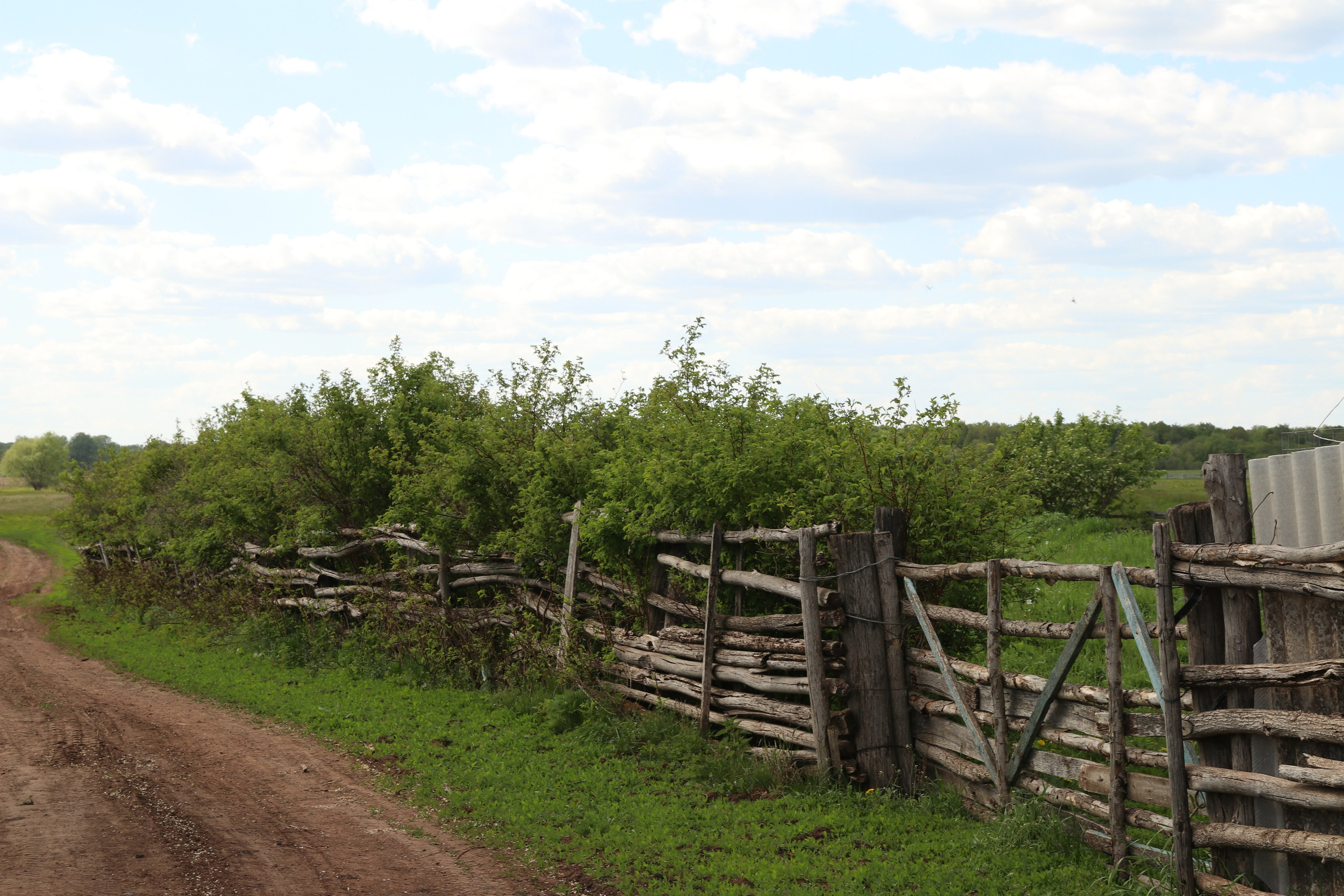 Велопоход Уфа — Мелеуз. Май 2024. Путешественник-фотограф из Санкт-Петербурга Татьяна Свистулина