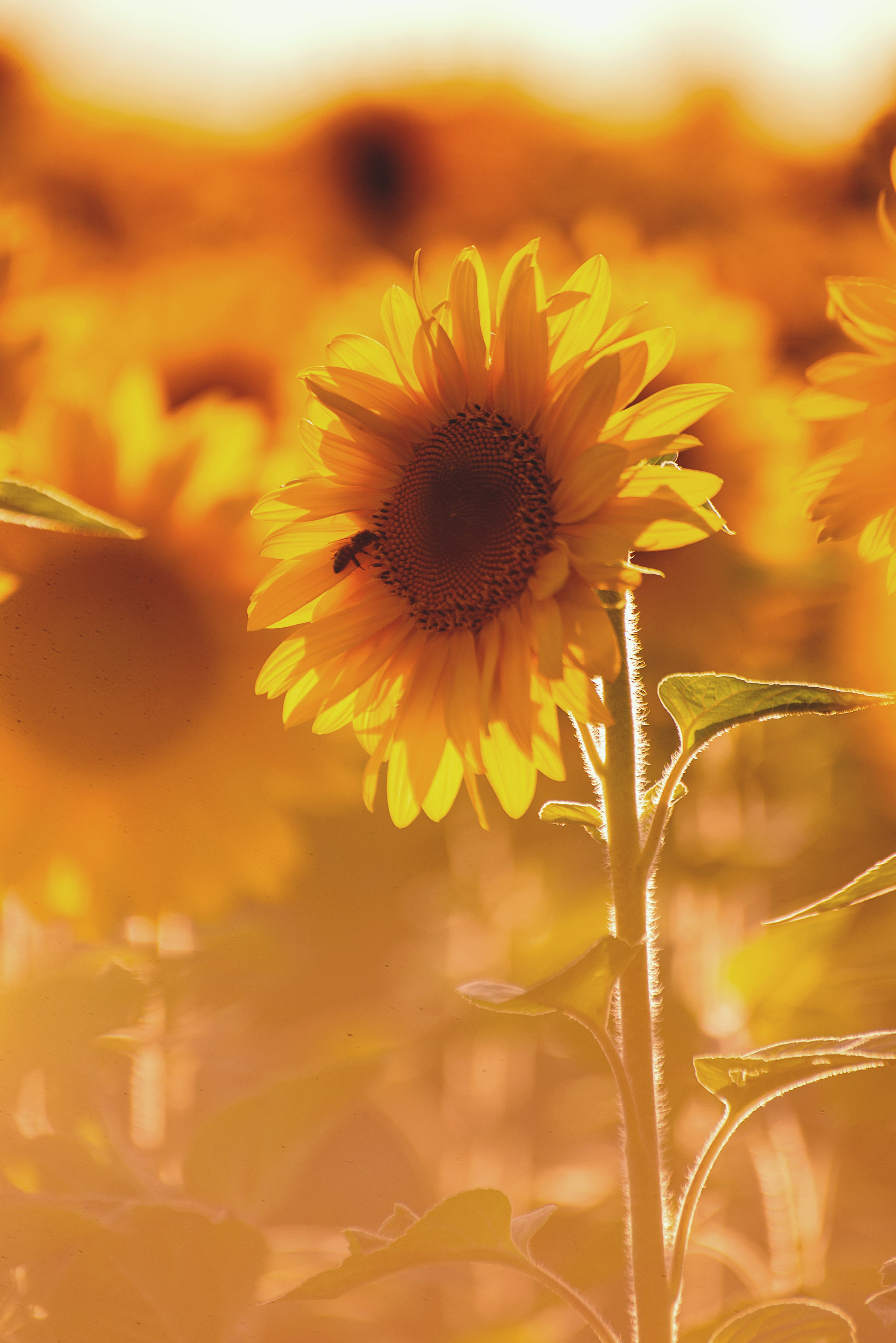 Фотозарисовки. Фотограф Валерия Азамат — жизнь в каждом кадре