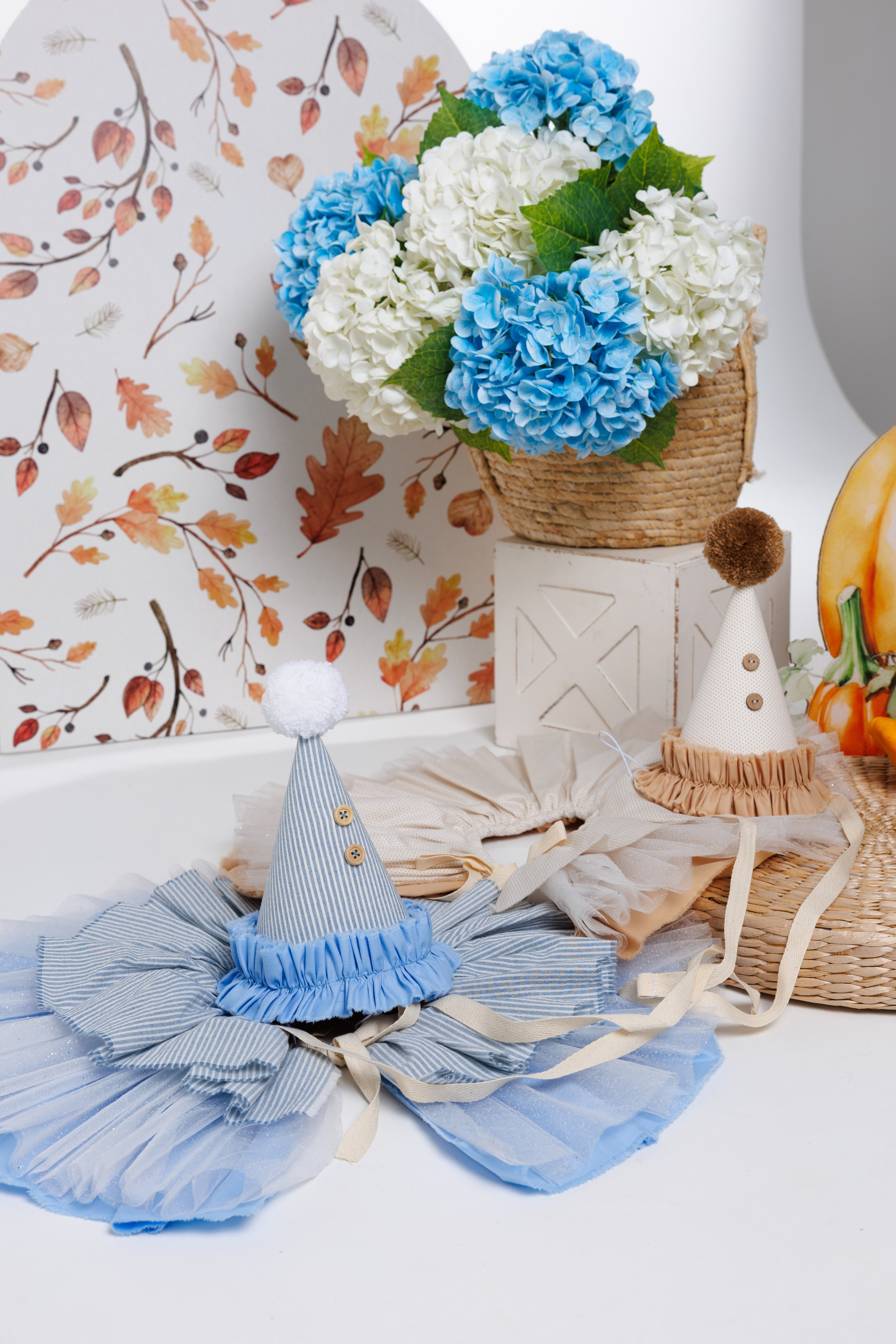 Осенний именинник. Анжелика Пилипас