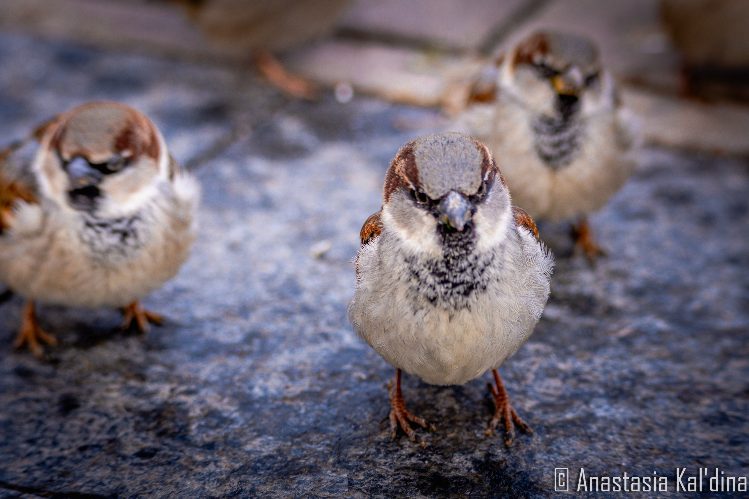 Городской пейзаж/архитектура. Фотограф в Волгограде и Волжском Анастасия Кальдина