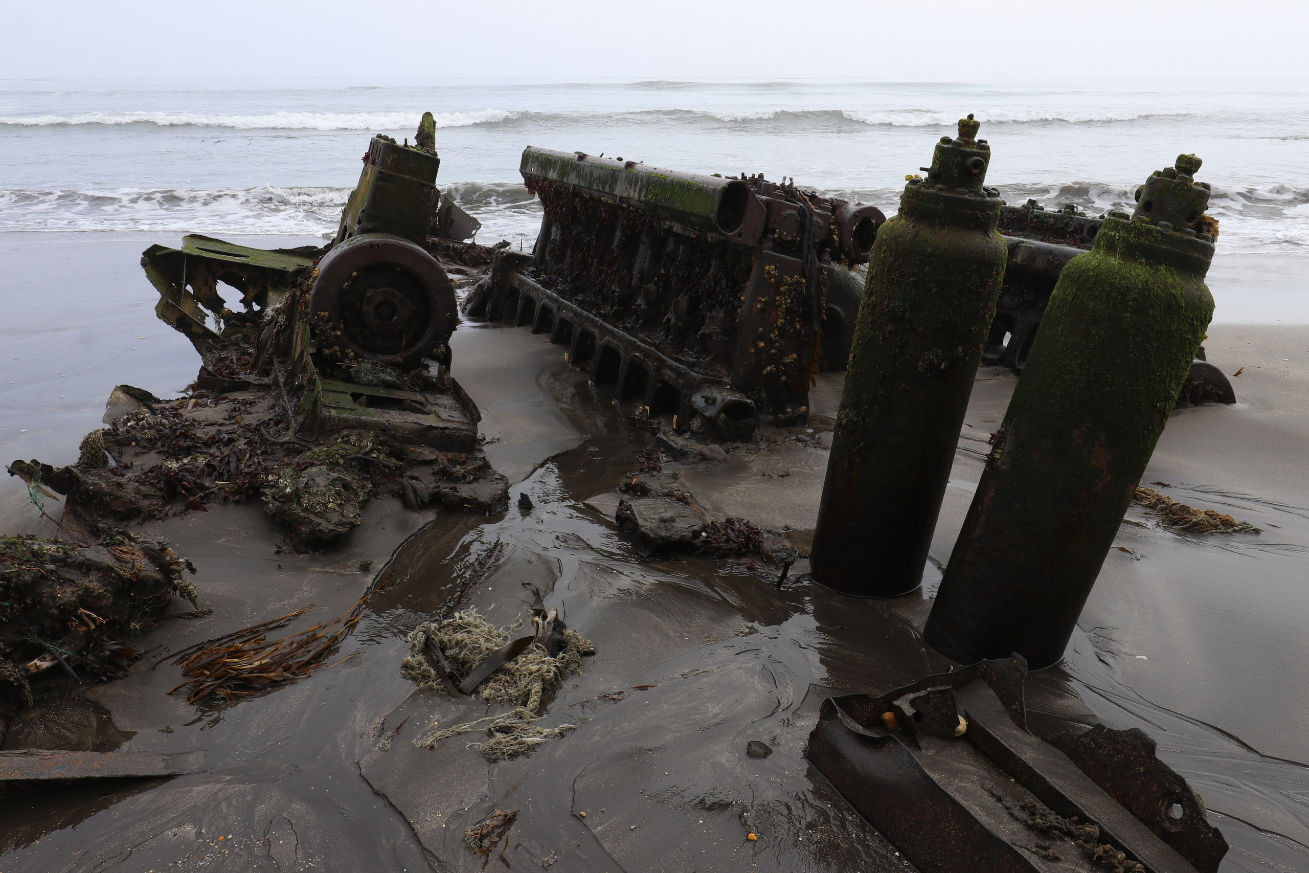 Камчатка и о. Парамушир. Июль 2024. Путешественник-фотограф из Санкт-Петербурга Татьяна Свистулина
