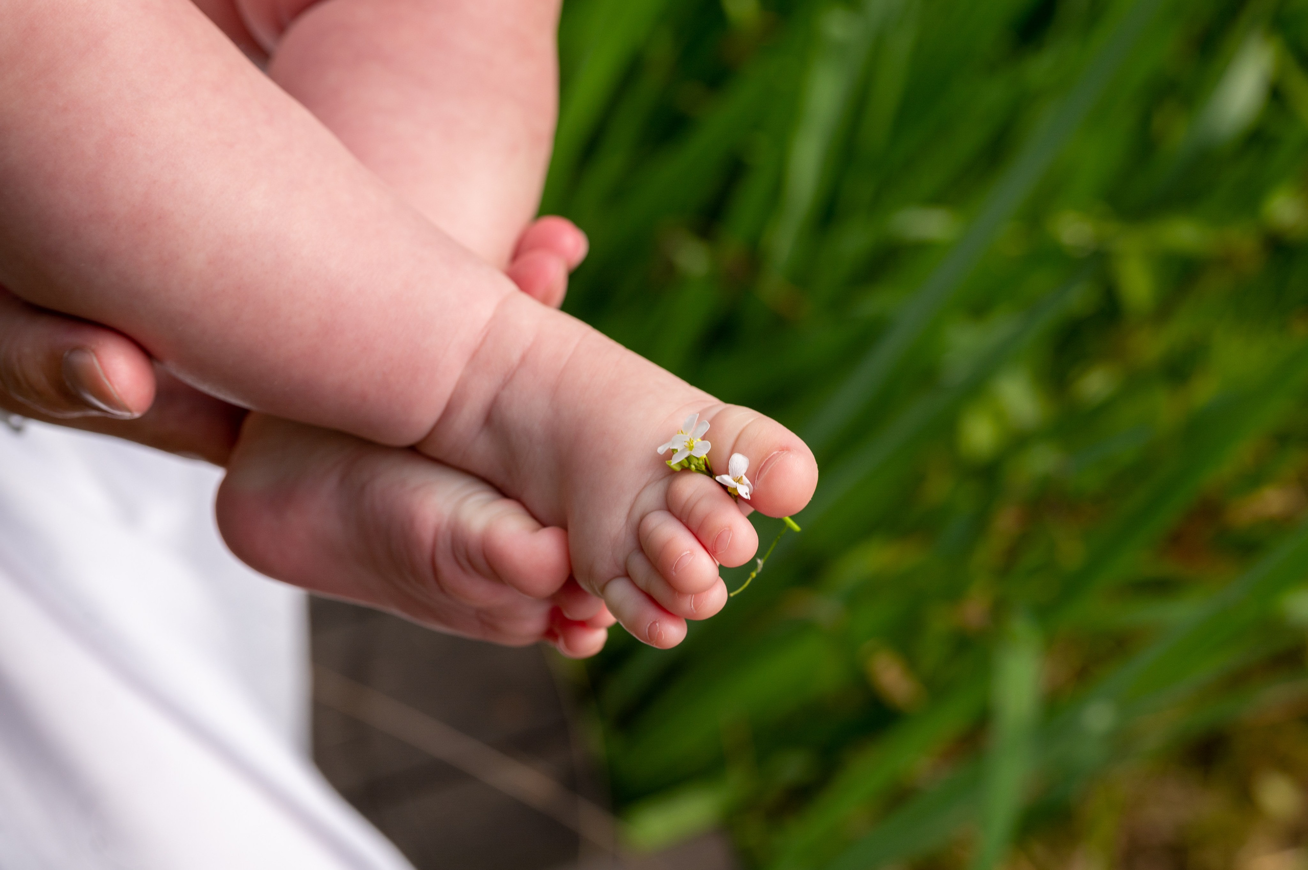 Фотопрогулки. Фотограф новорожденных в Санкт-Петербурге Татьяна Тарасенко