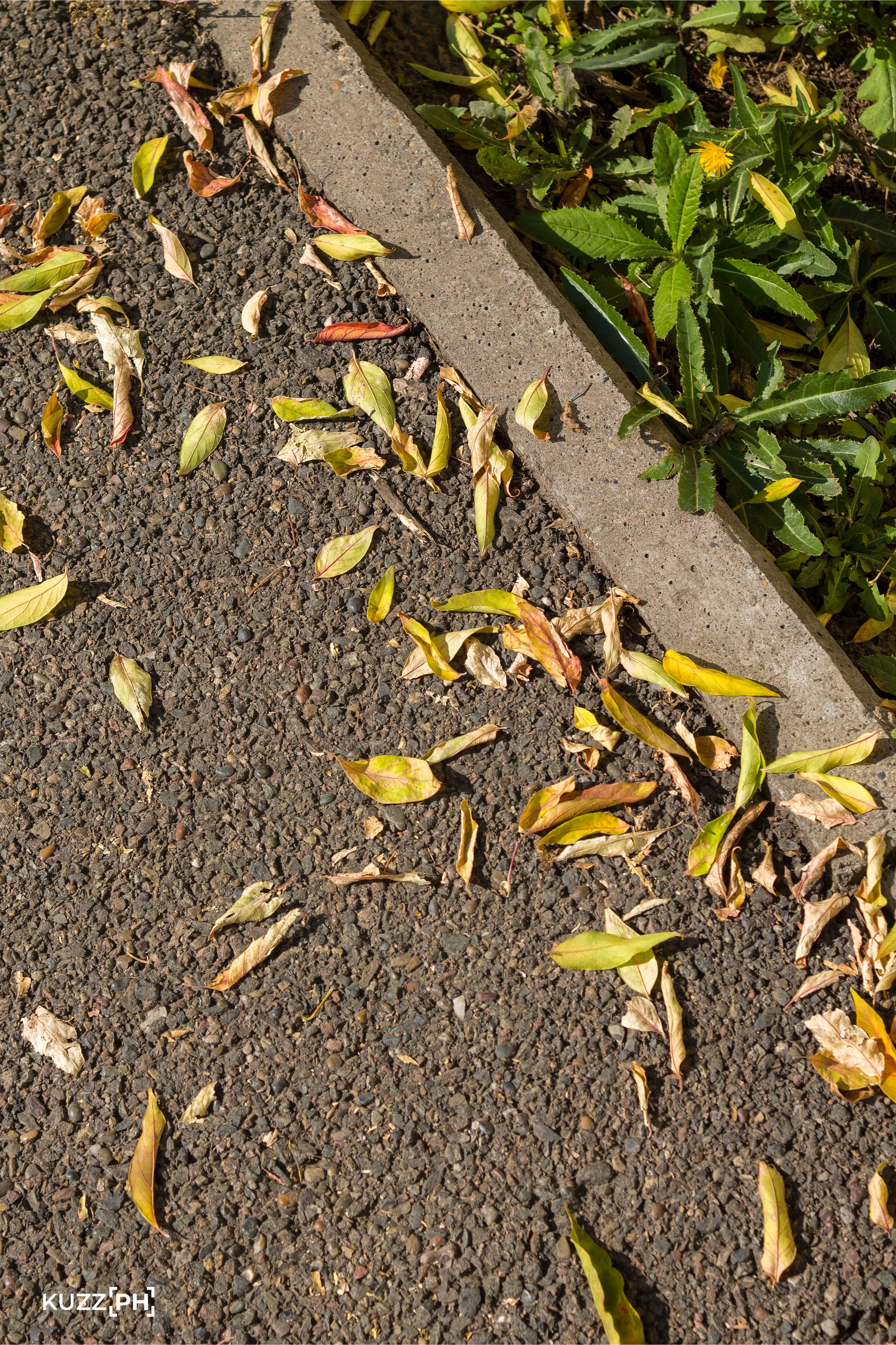 19.09.2023 | Красноярск. Kuznetsov | Фотограф в Красноярске