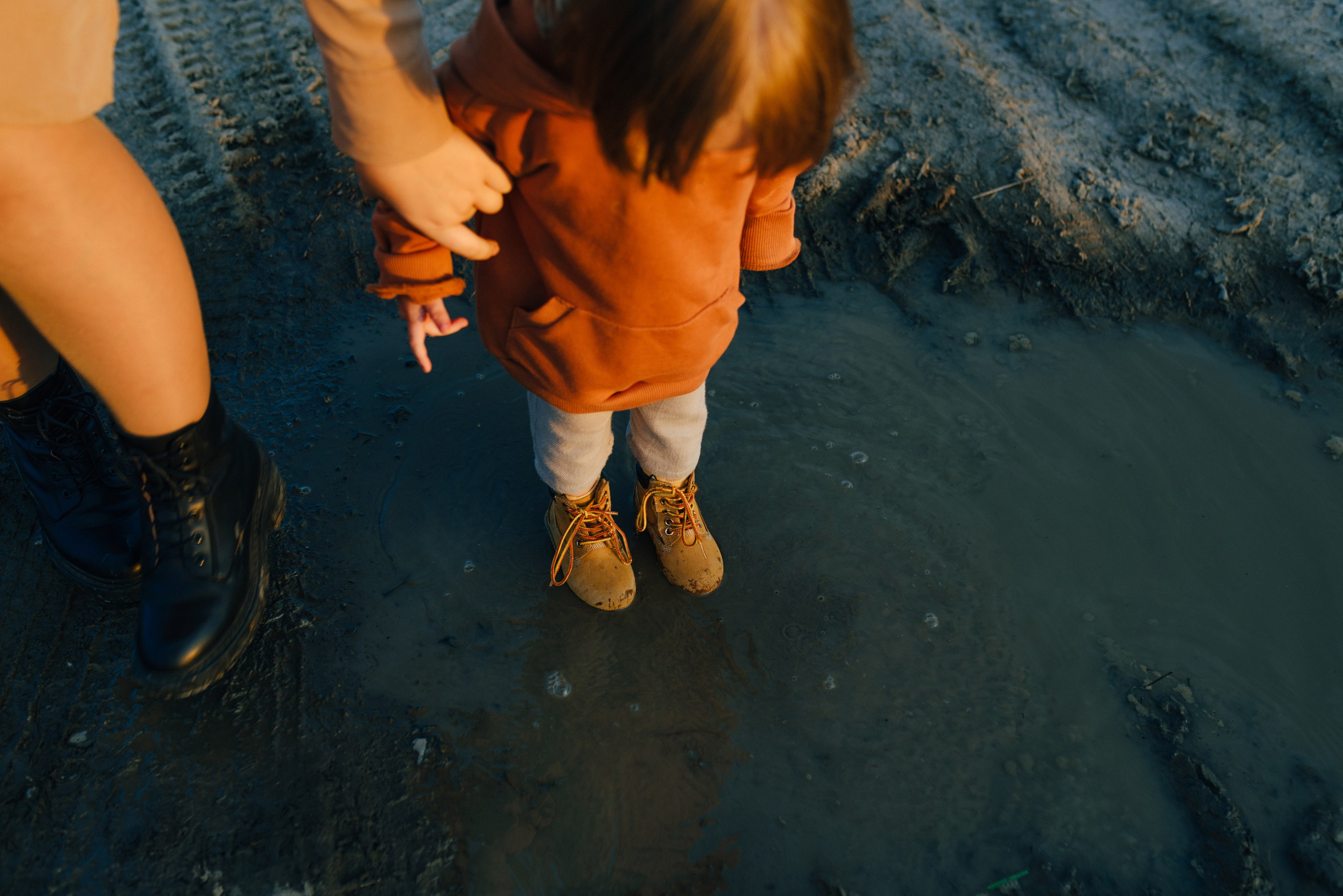 ПОДСОЛНУХИ. Шашкова Вероника / Свадебный и семейный фотограф Москва и Ярославль