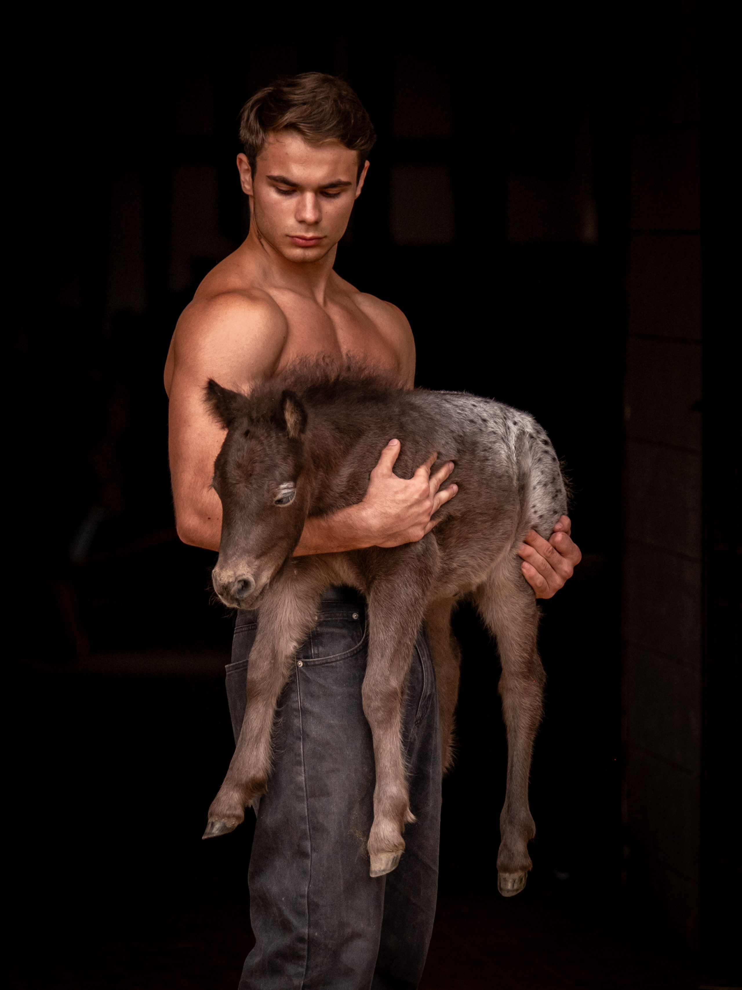 Люди и лошади!. Зоофотограф, фотограф животных в Москве и области Дина Дамоцева