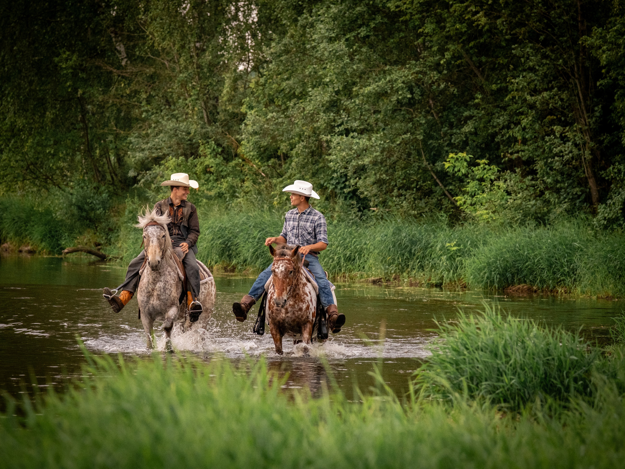 Аванпост, конное ранчо. Зоофотограф, фотограф животных в Москве и области Дина Дамоцева