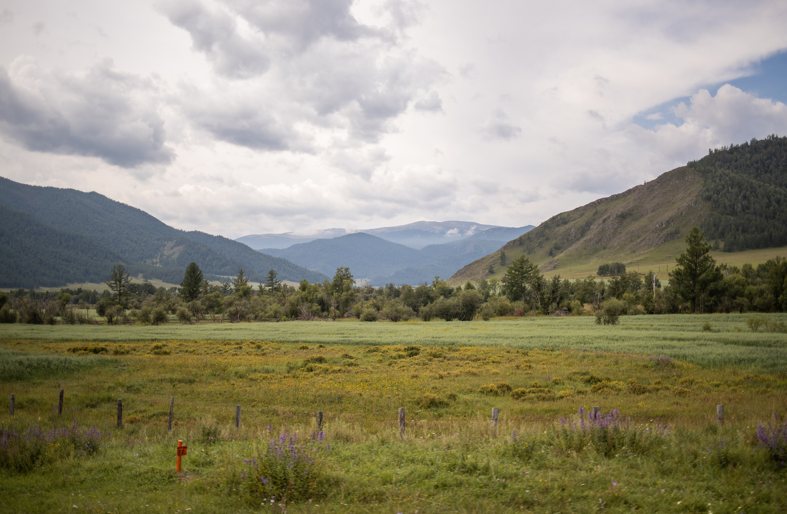 Altai Republic, Russia. Photographer Alina Skitovich