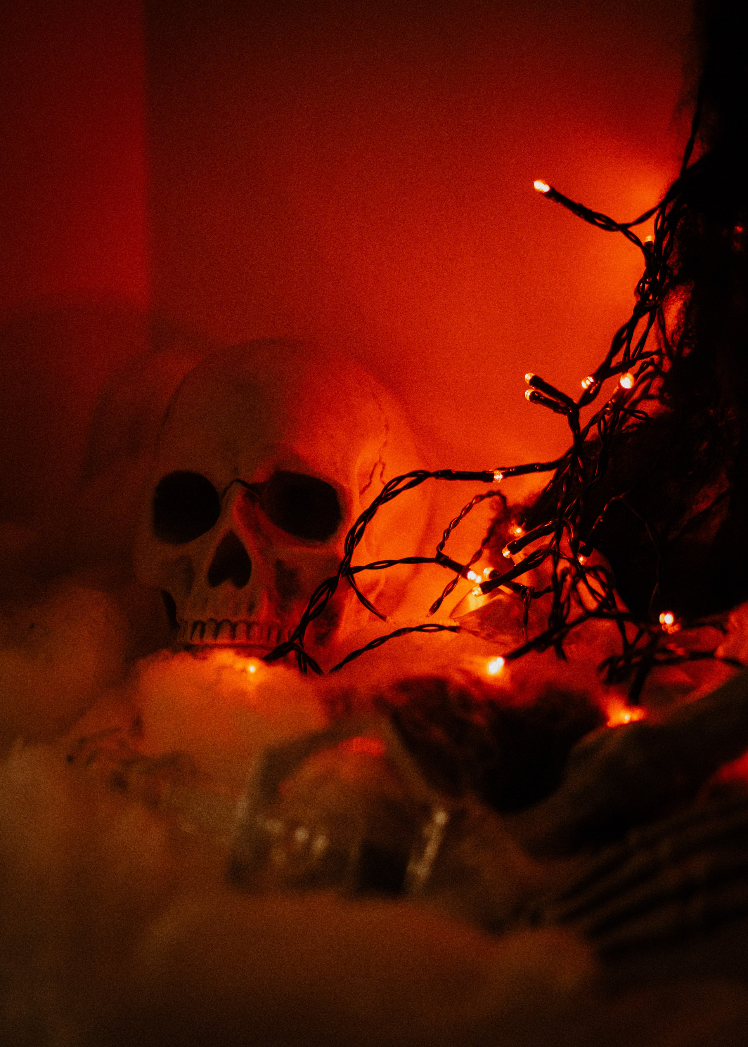 Pumpkin Workshop. Barbara Isaeva